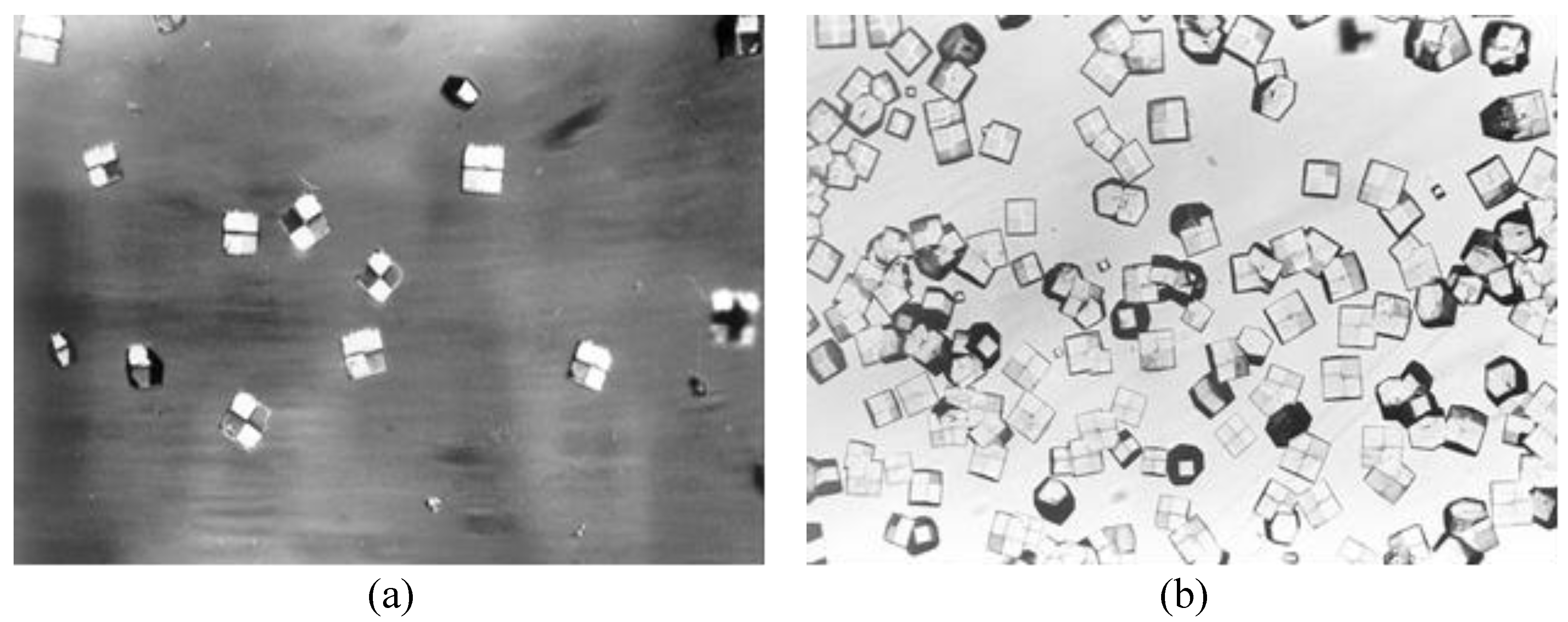 Crystals 07 00310 g001