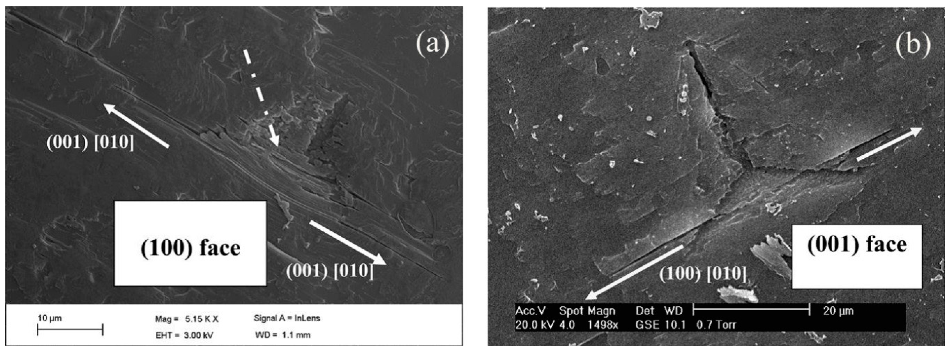 Crystals 07 00324 g010