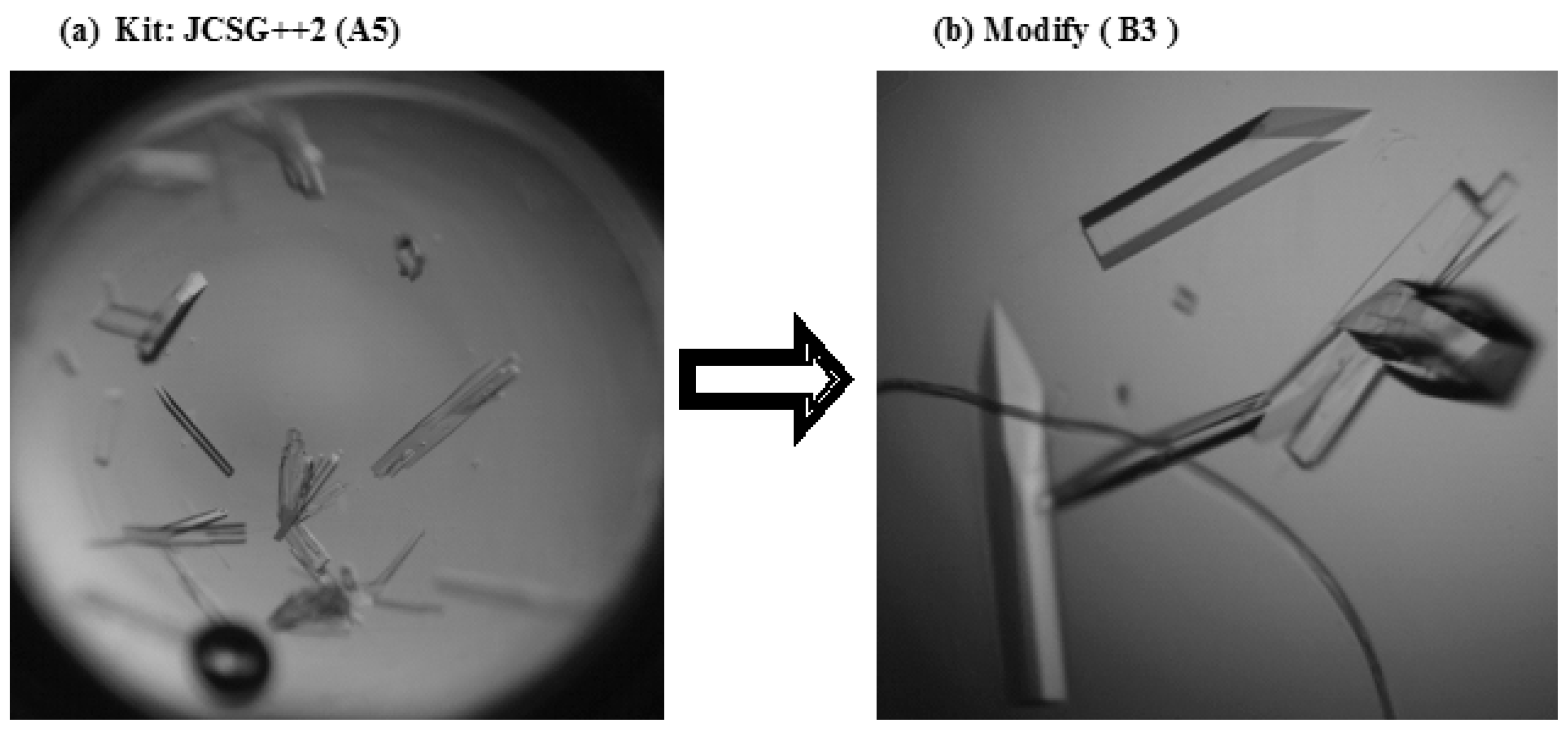 Crystals 07 00344 g002