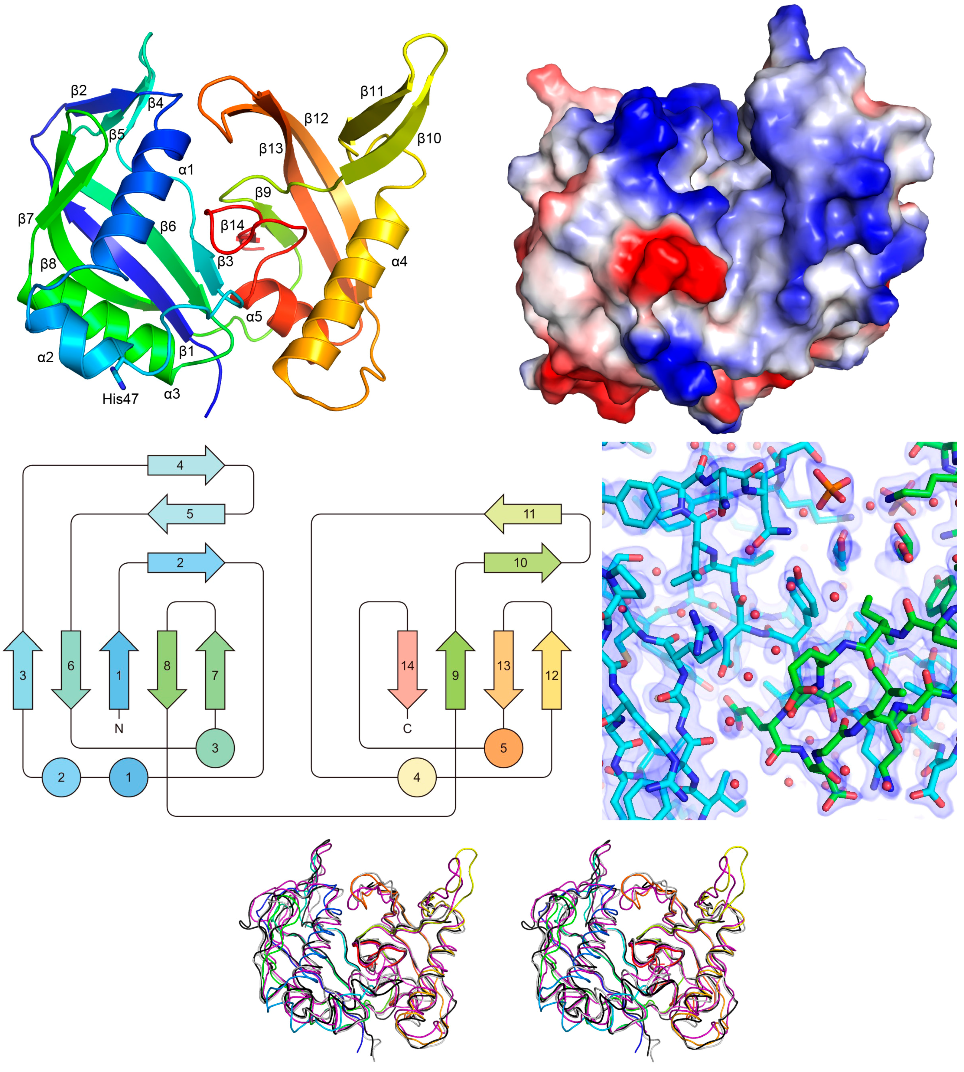 Crystals 07 00344 g004