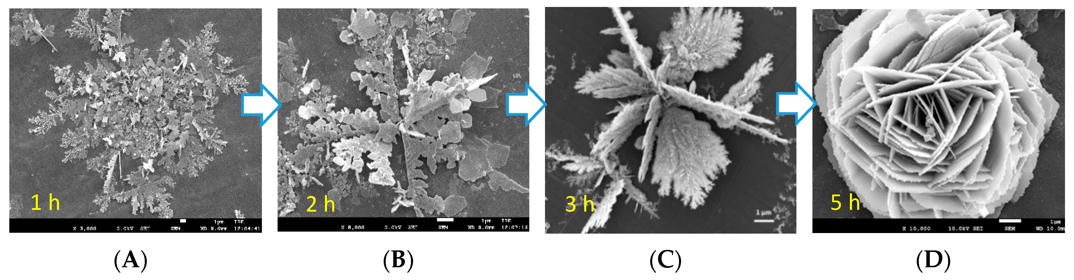 Crystals 07 00357 g005