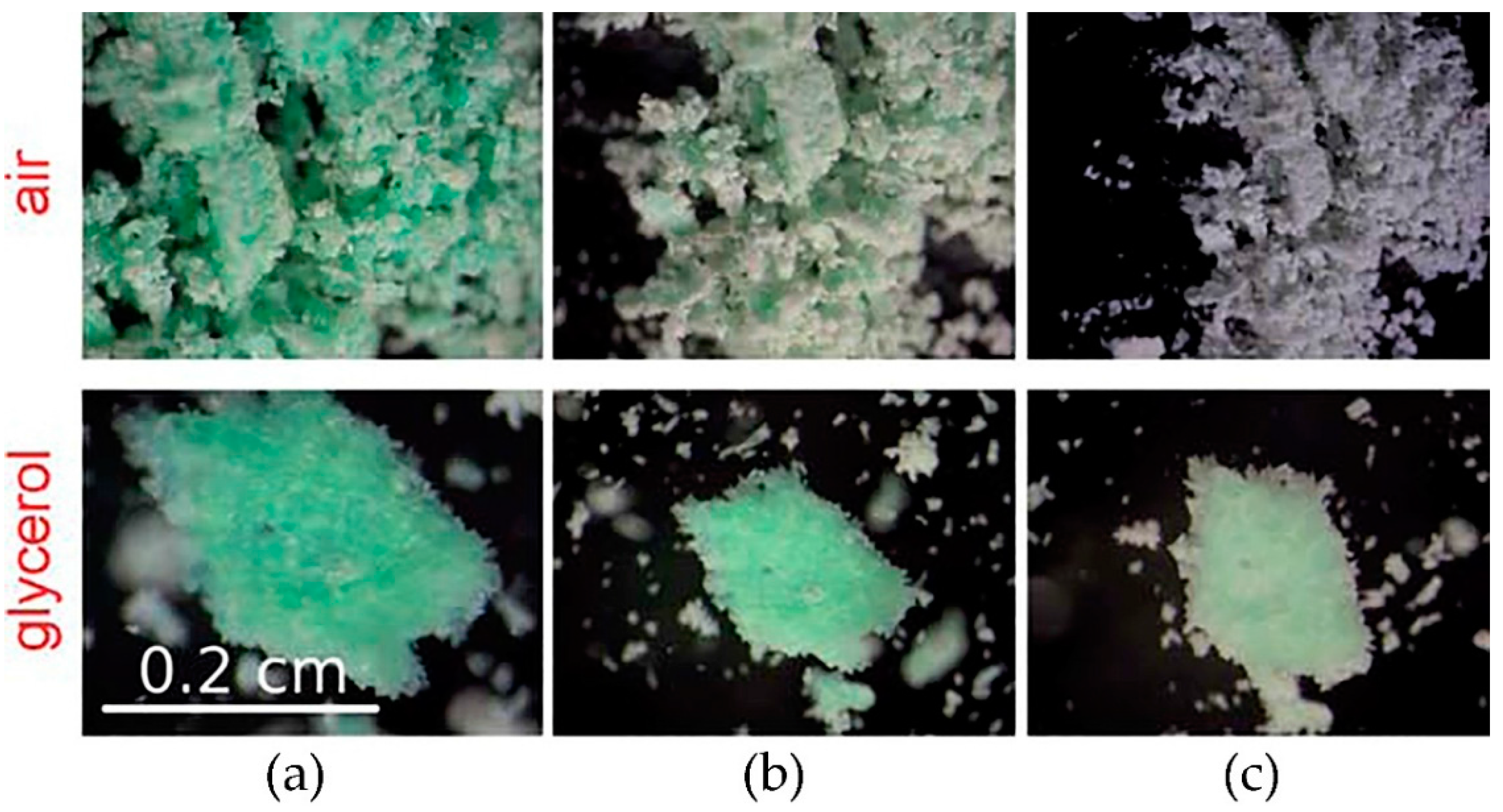 Crystals 07 00376 g007