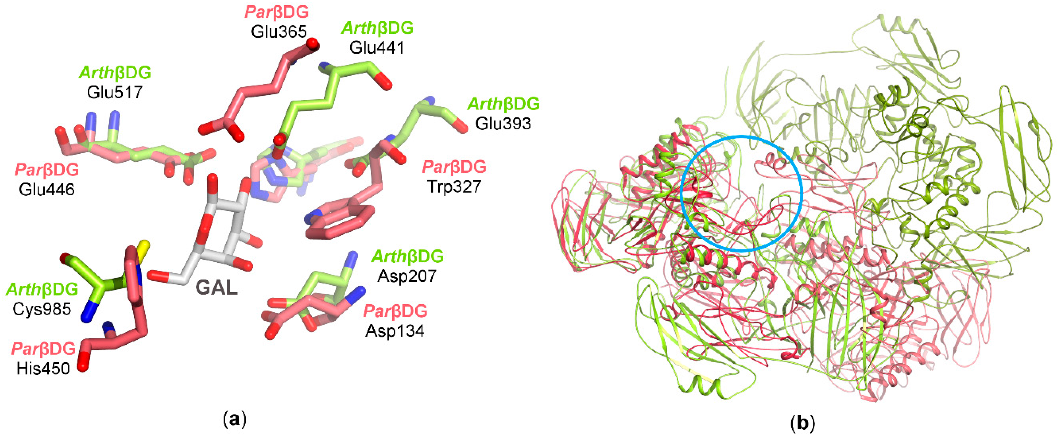 Crystals 08 00013 g008 Crystals 08 00013 g008