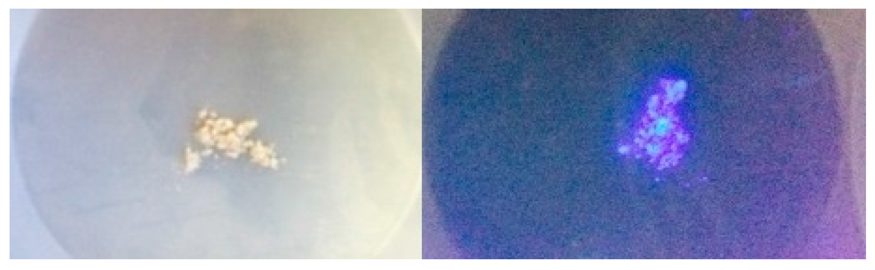 Crystals 08 00041 g010