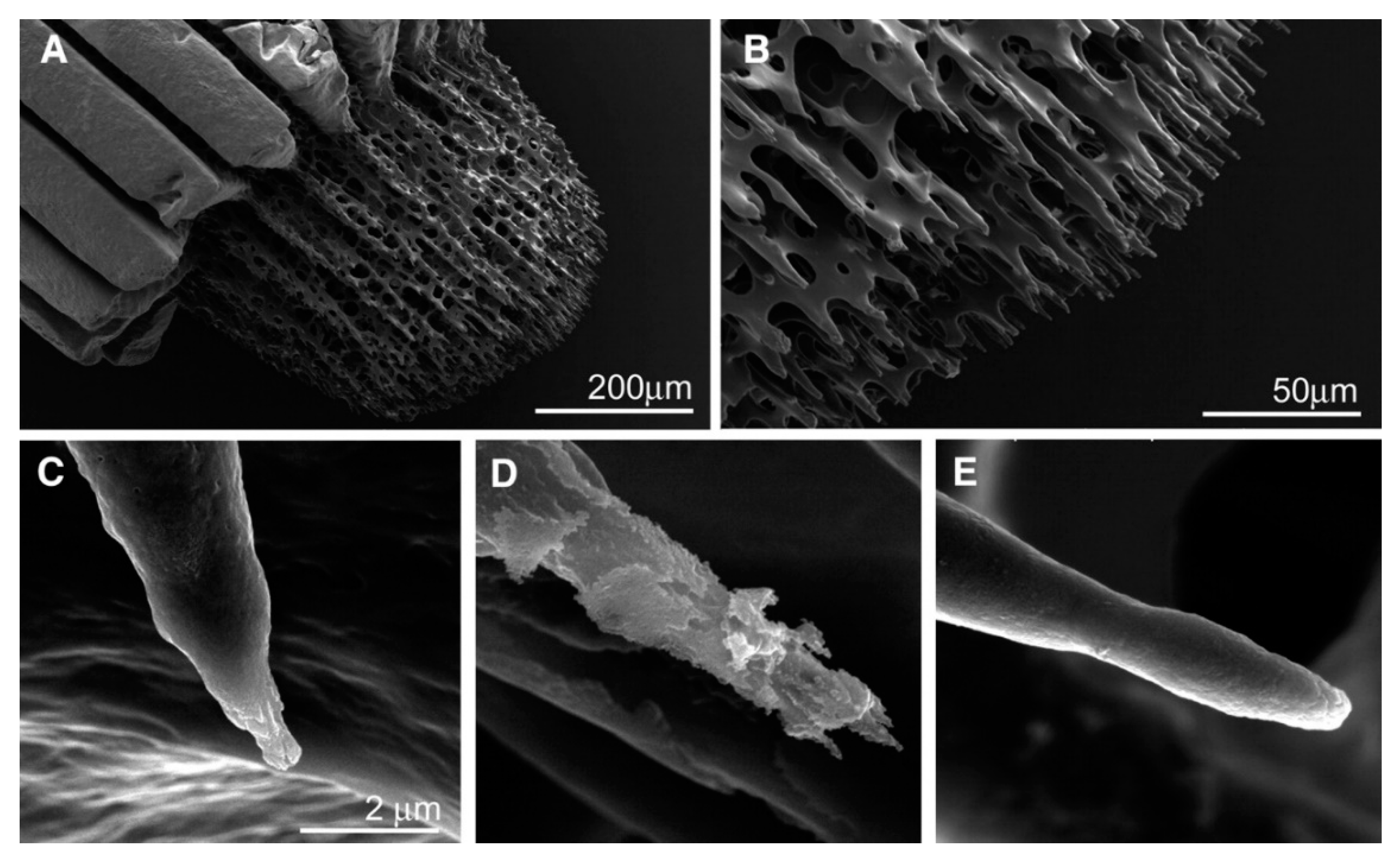 Crystals 08 00048 g003