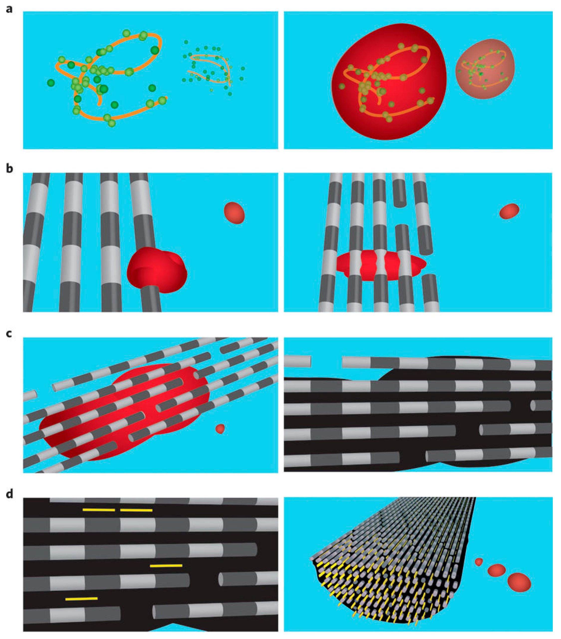 Crystals 08 00048 g006