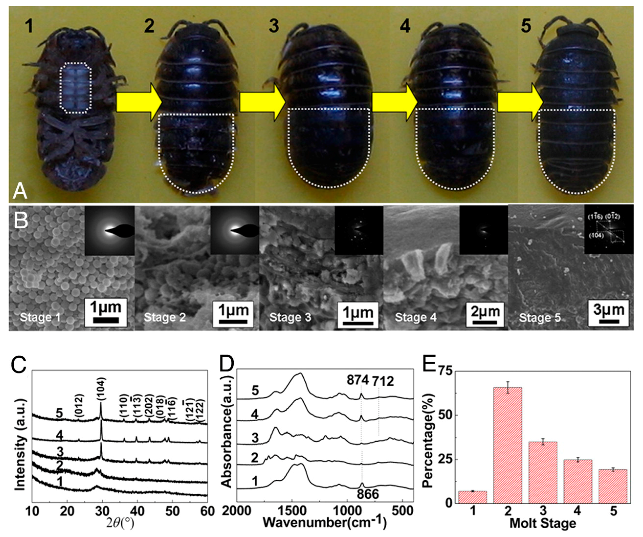 Crystals 08 00048 g007
