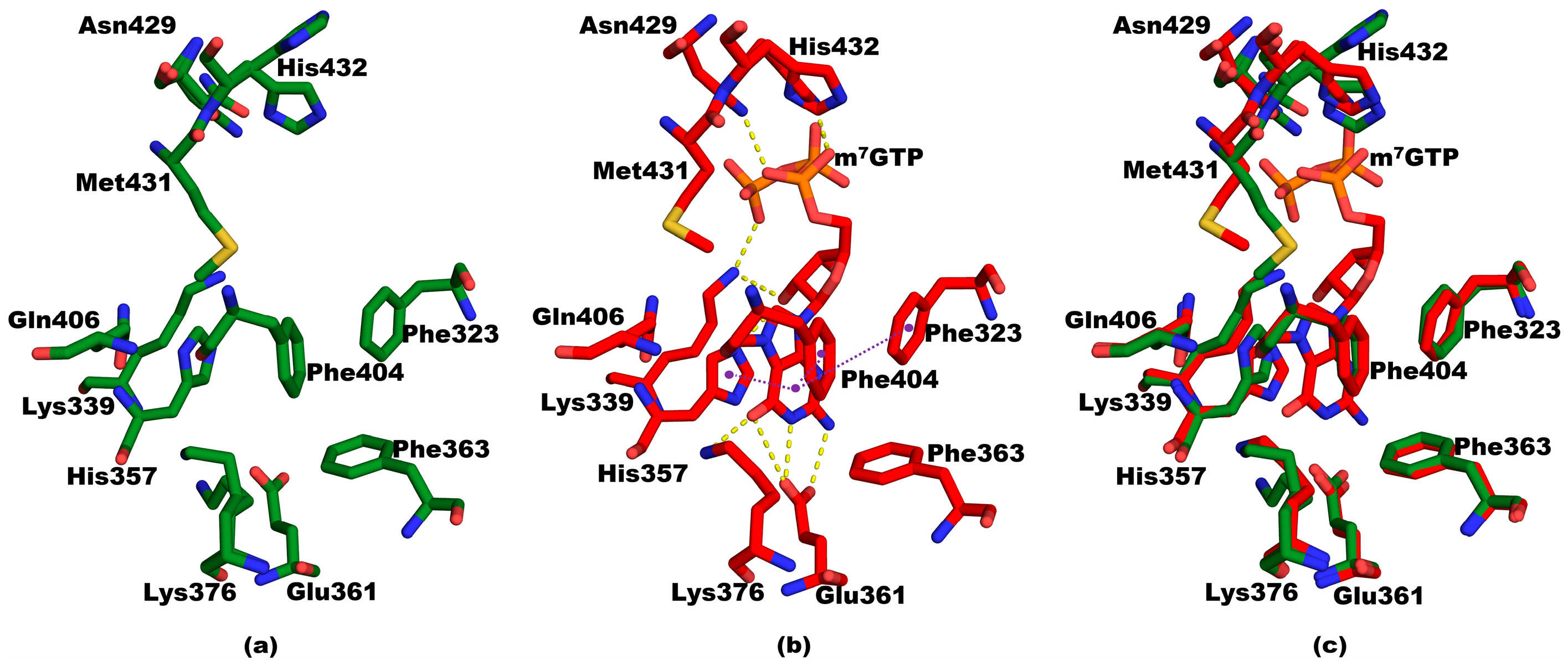 Crystals 08 00062 g002