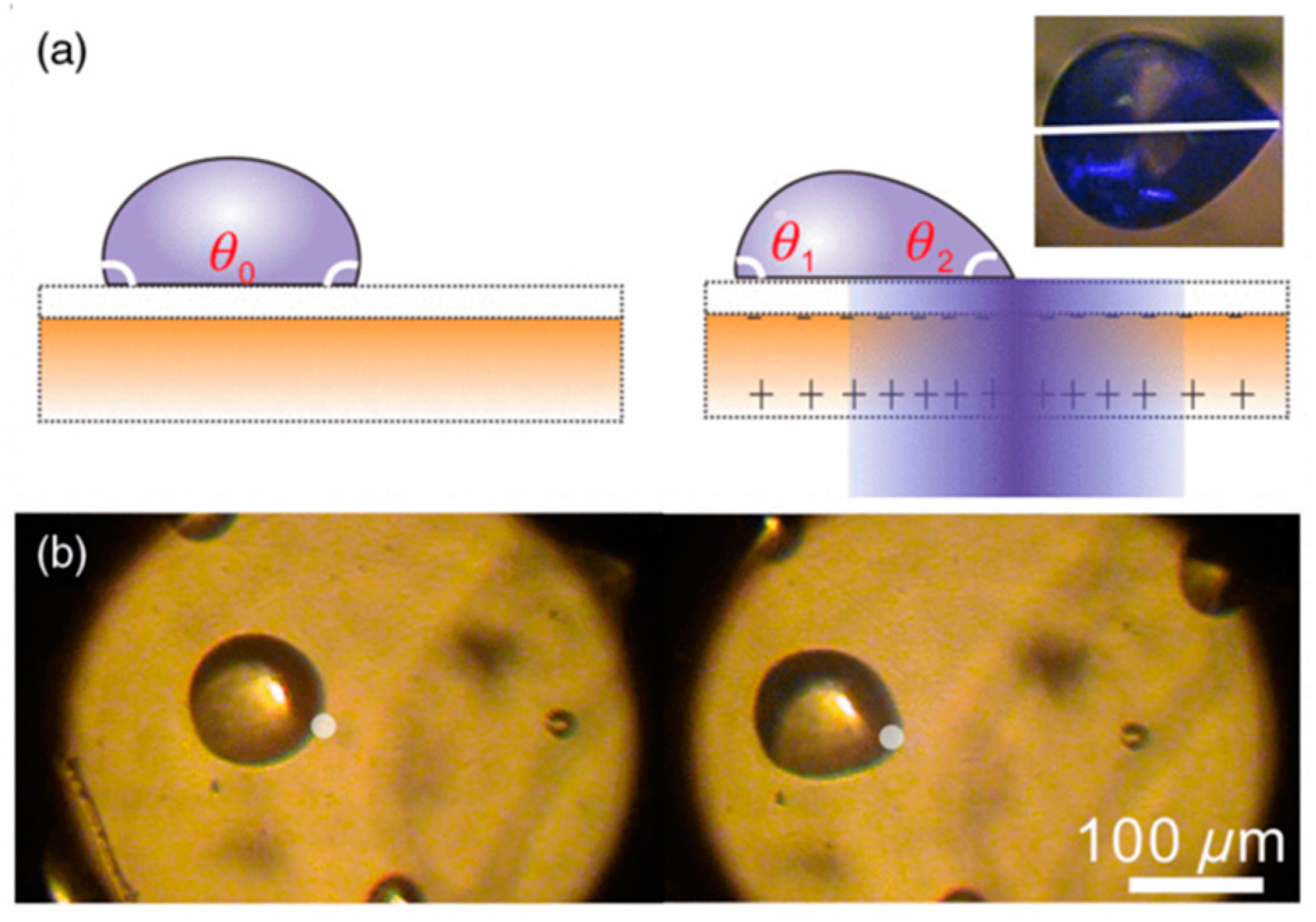 Crystals 08 00065 g007