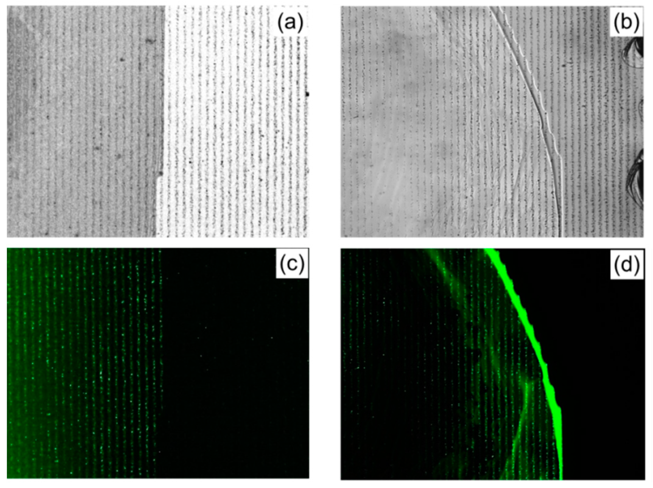 Crystals 08 00065 g009