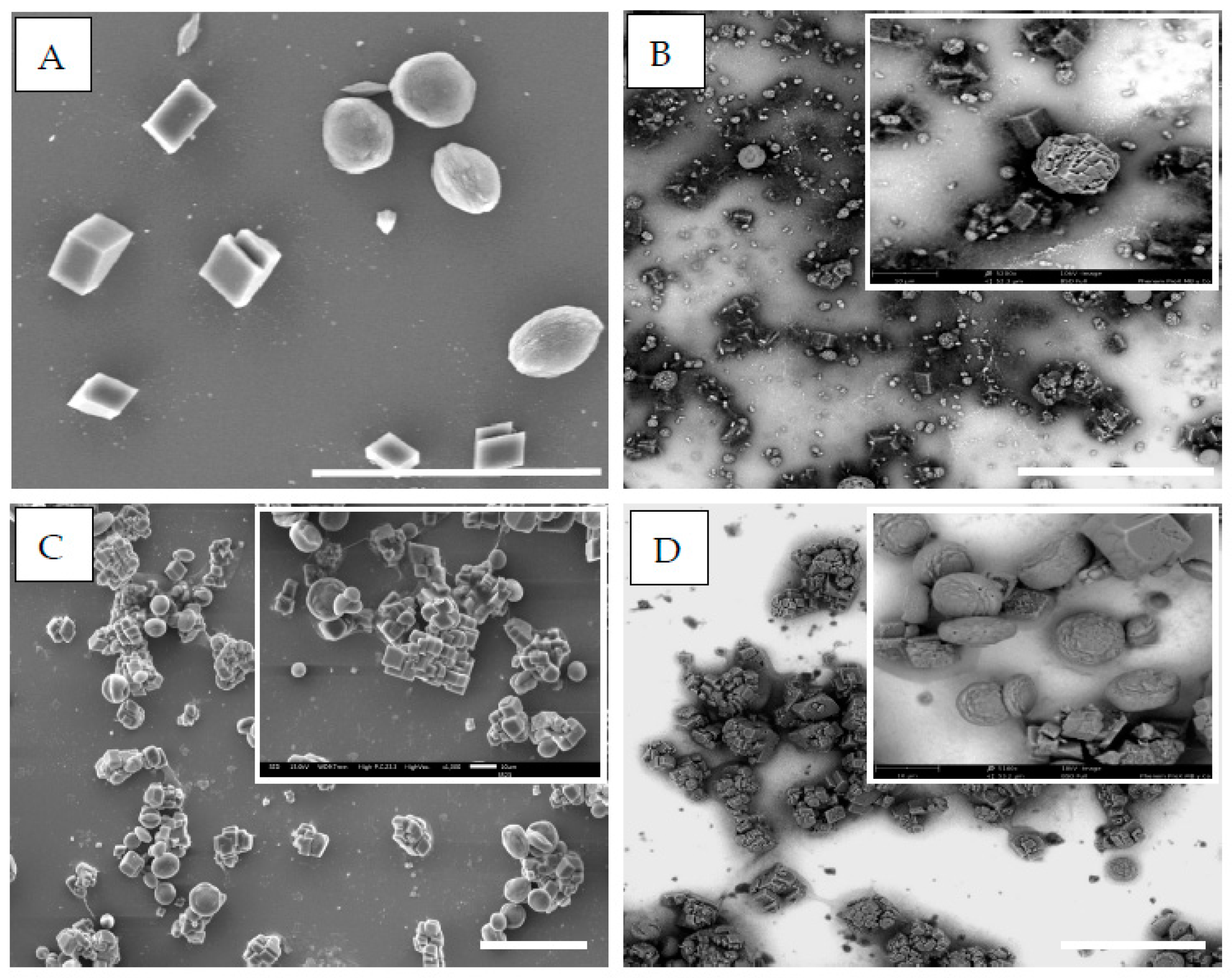 Crystals 08 00069 g003