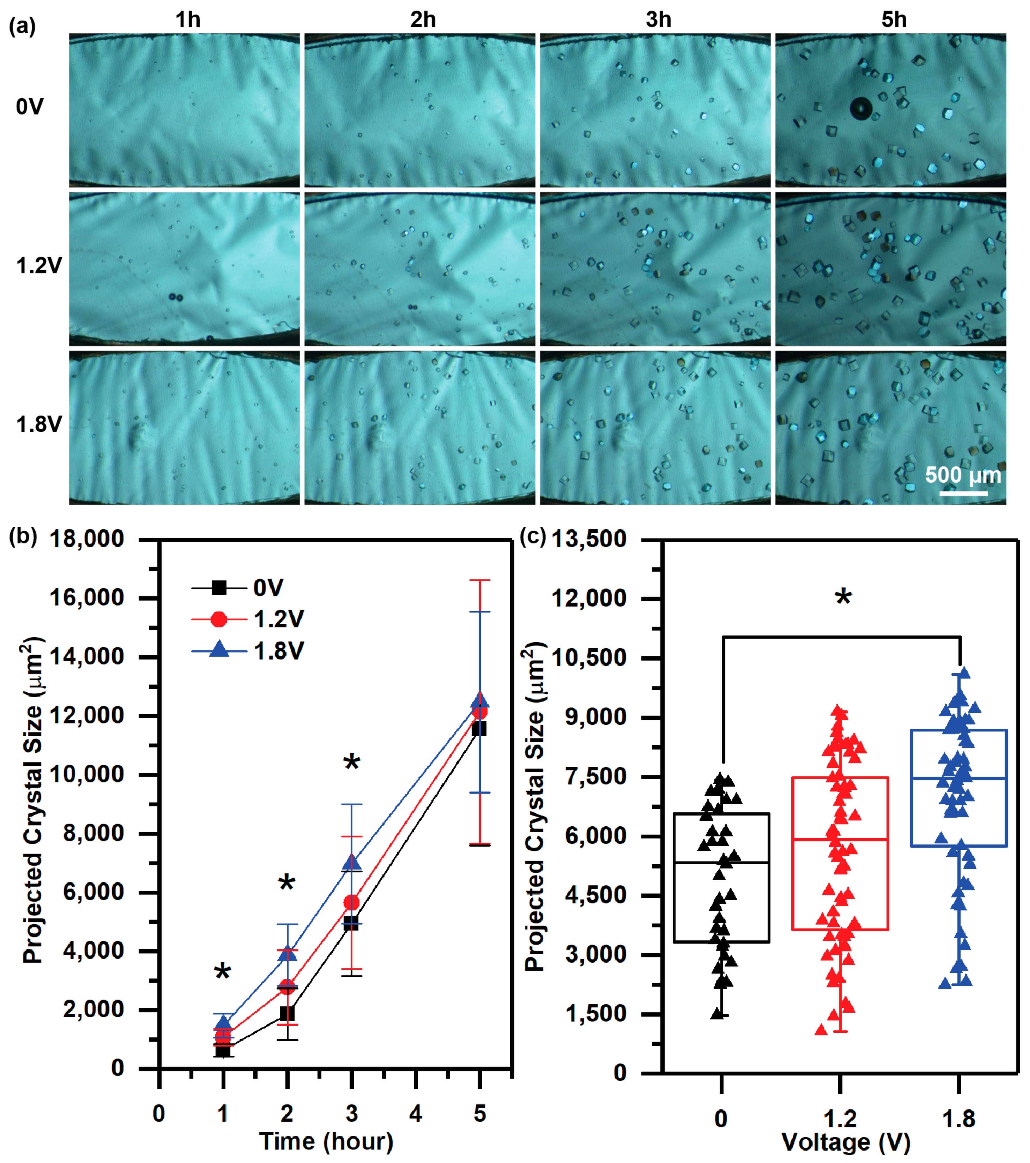 Crystals 08 00076 g005