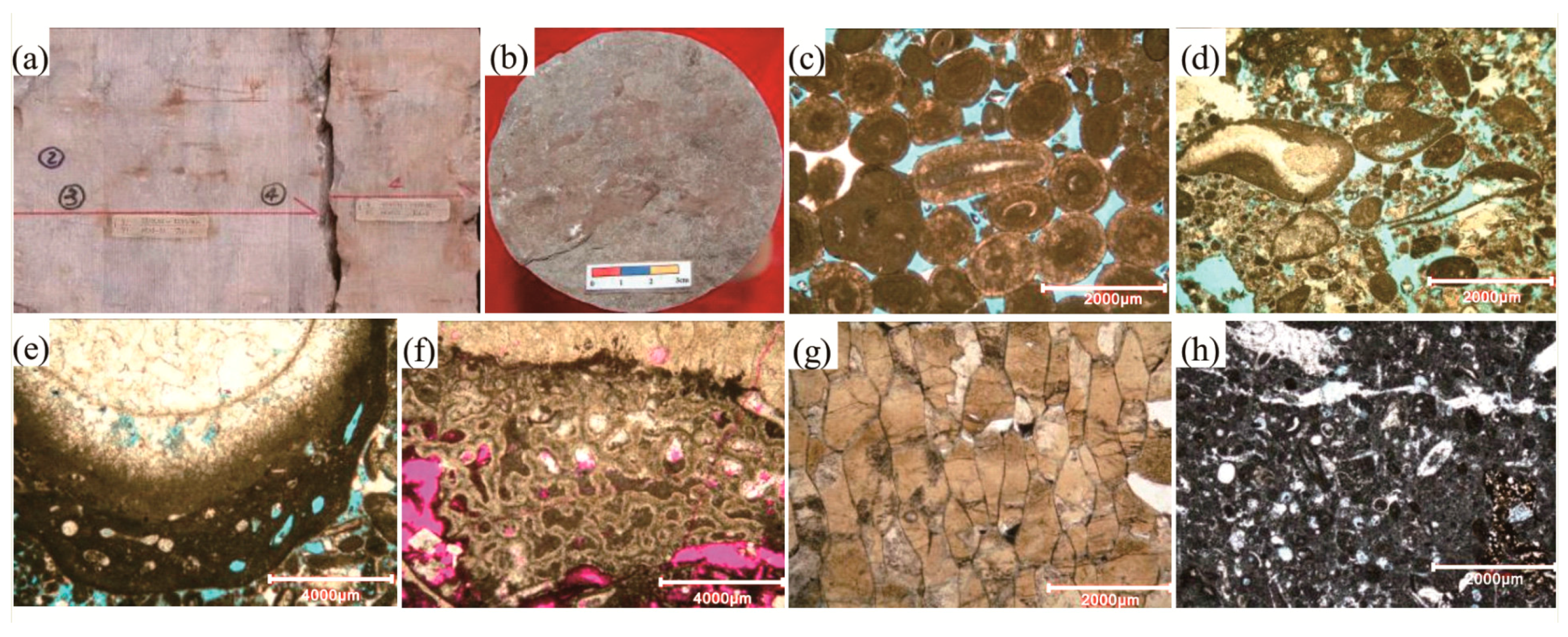 Crystals 08 00084 g006