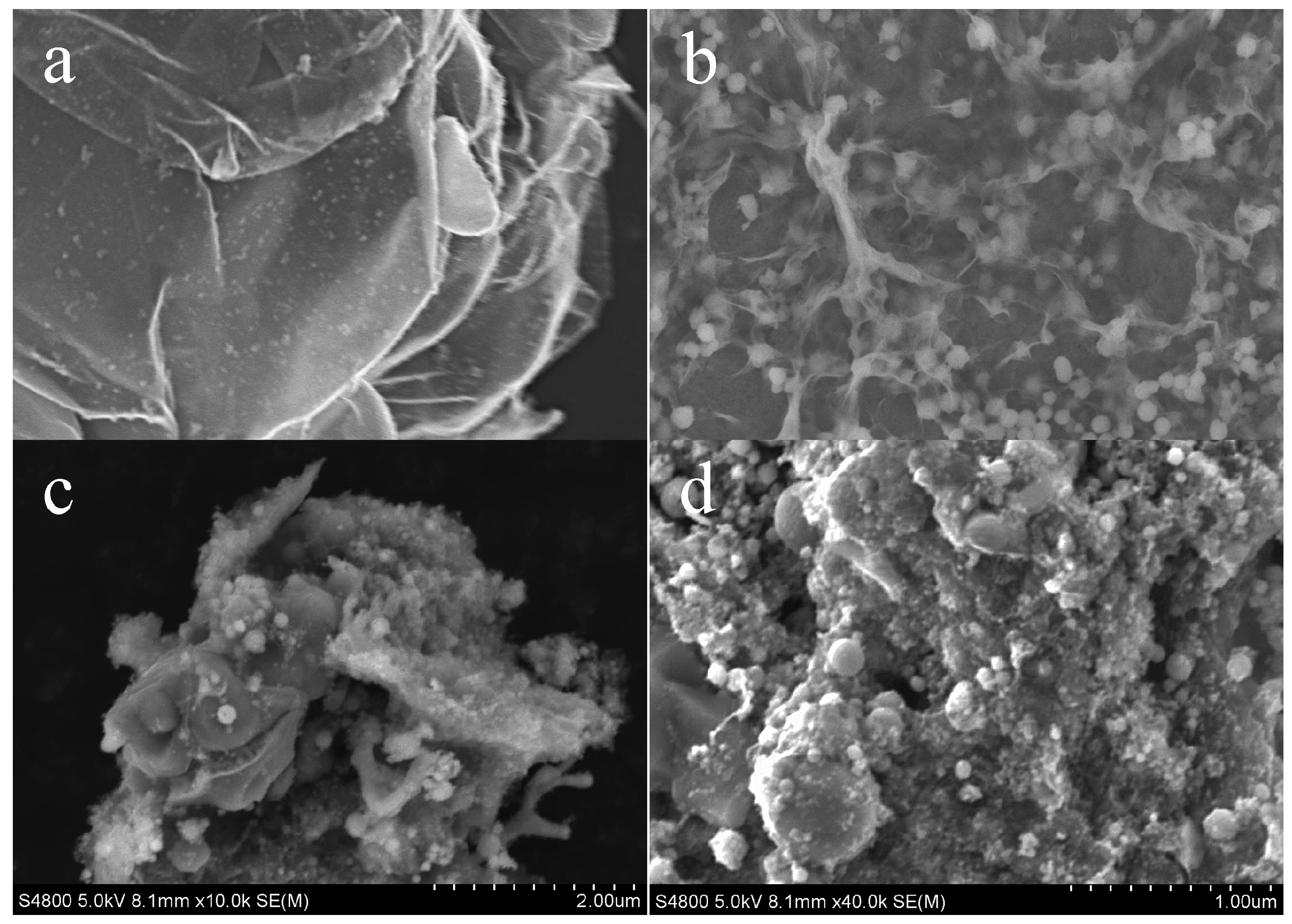 Crystals 08 00104 g003