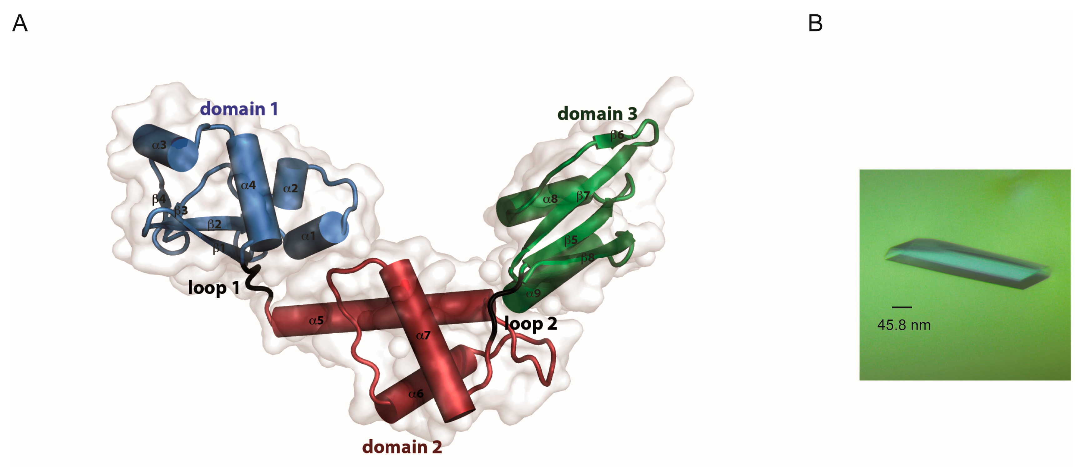 Crystals 08 00109 g002 Crystals 08 00109 g002