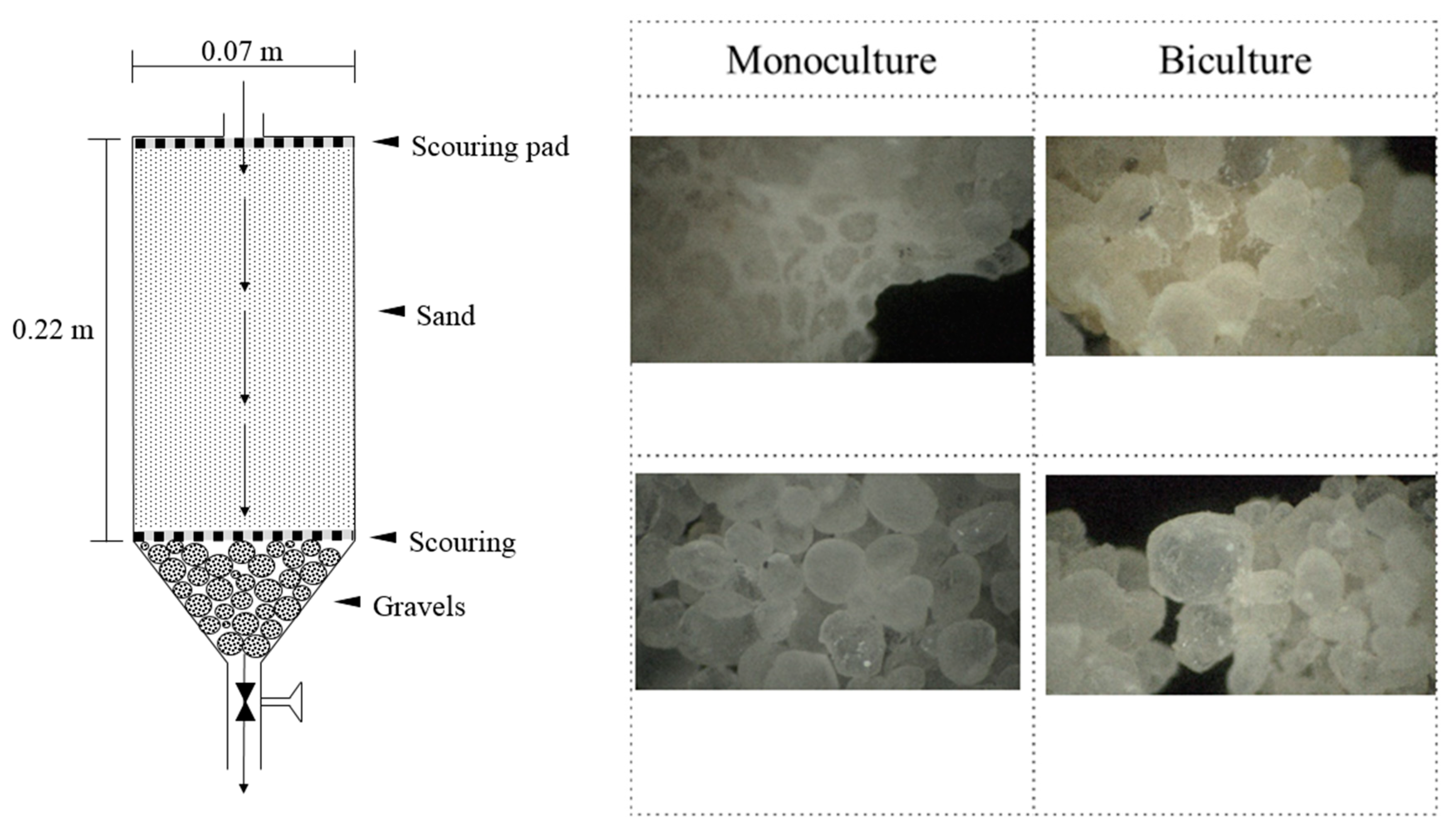 Crystals 08 00189 g008