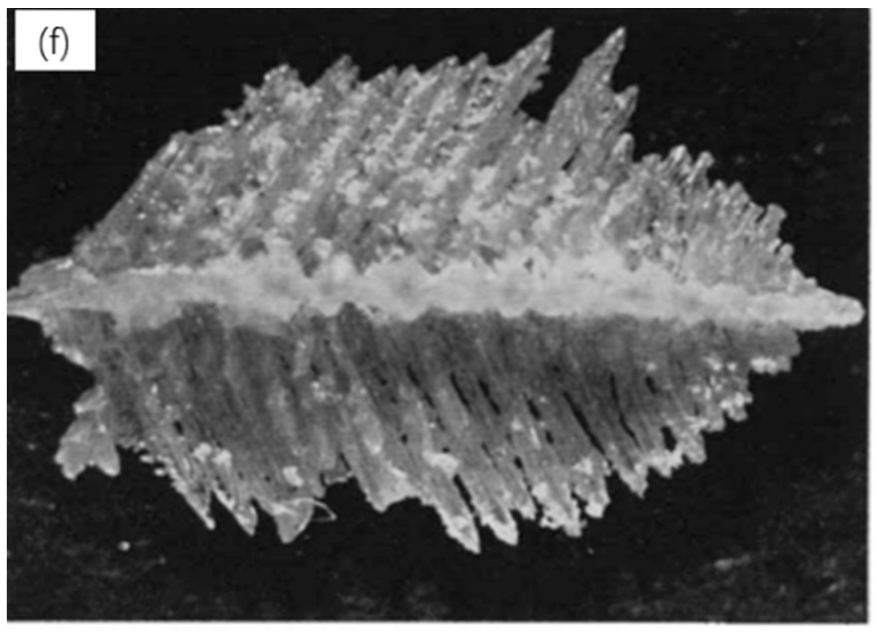 Crystals 08 00216 g003b