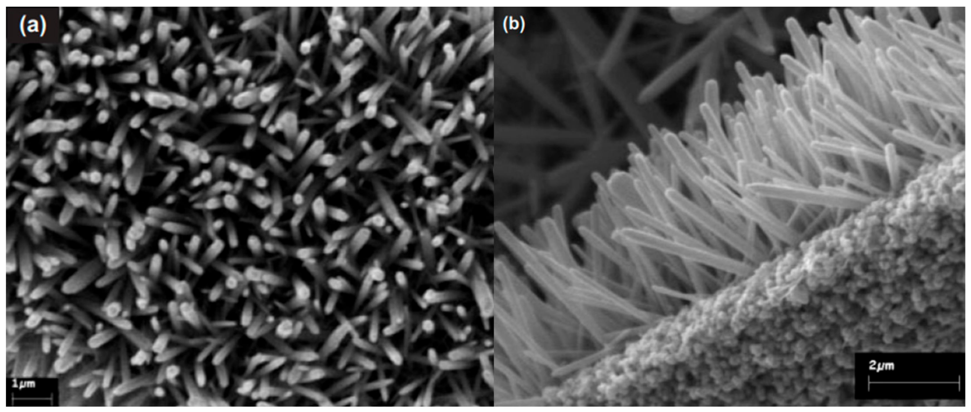 Crystals 08 00223 g004