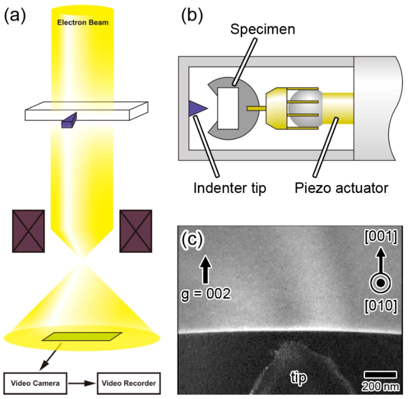 Crystals 08 00241 g070