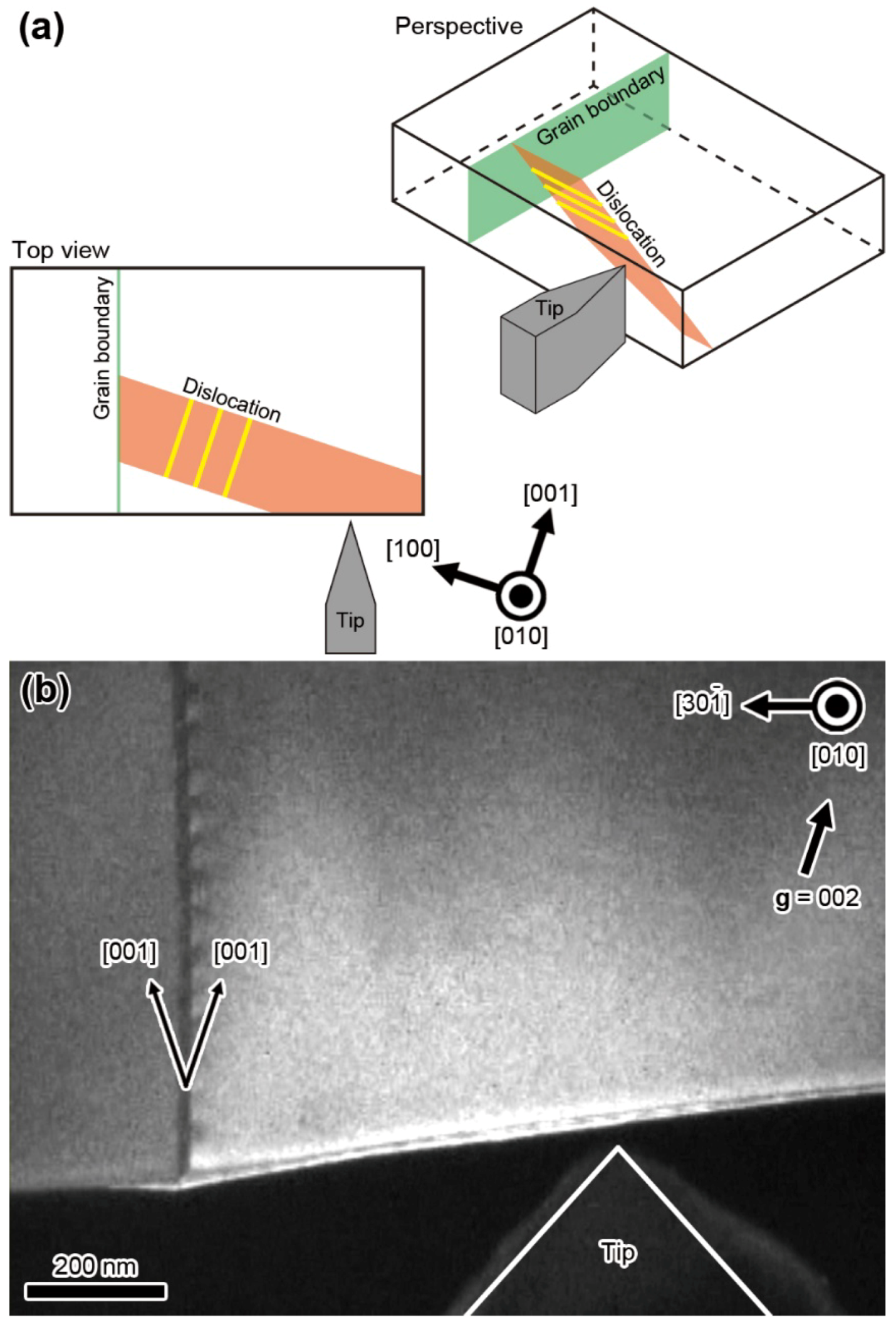 Crystals 08 00241 g072