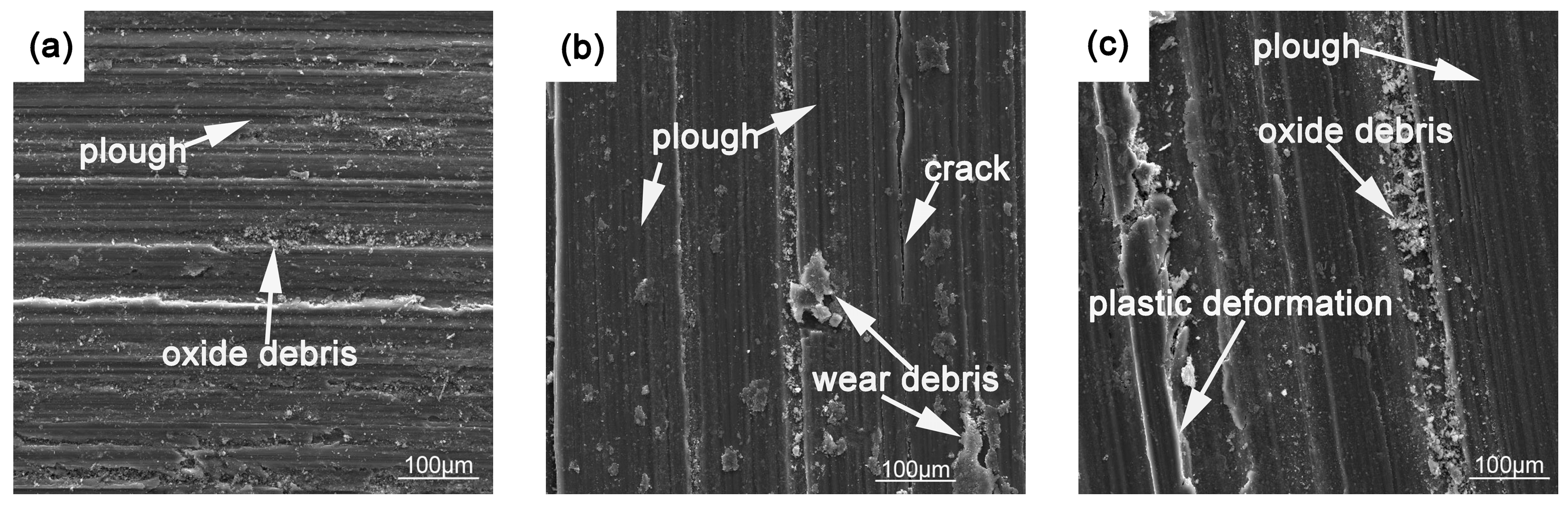 Crystals 08 00256 g014