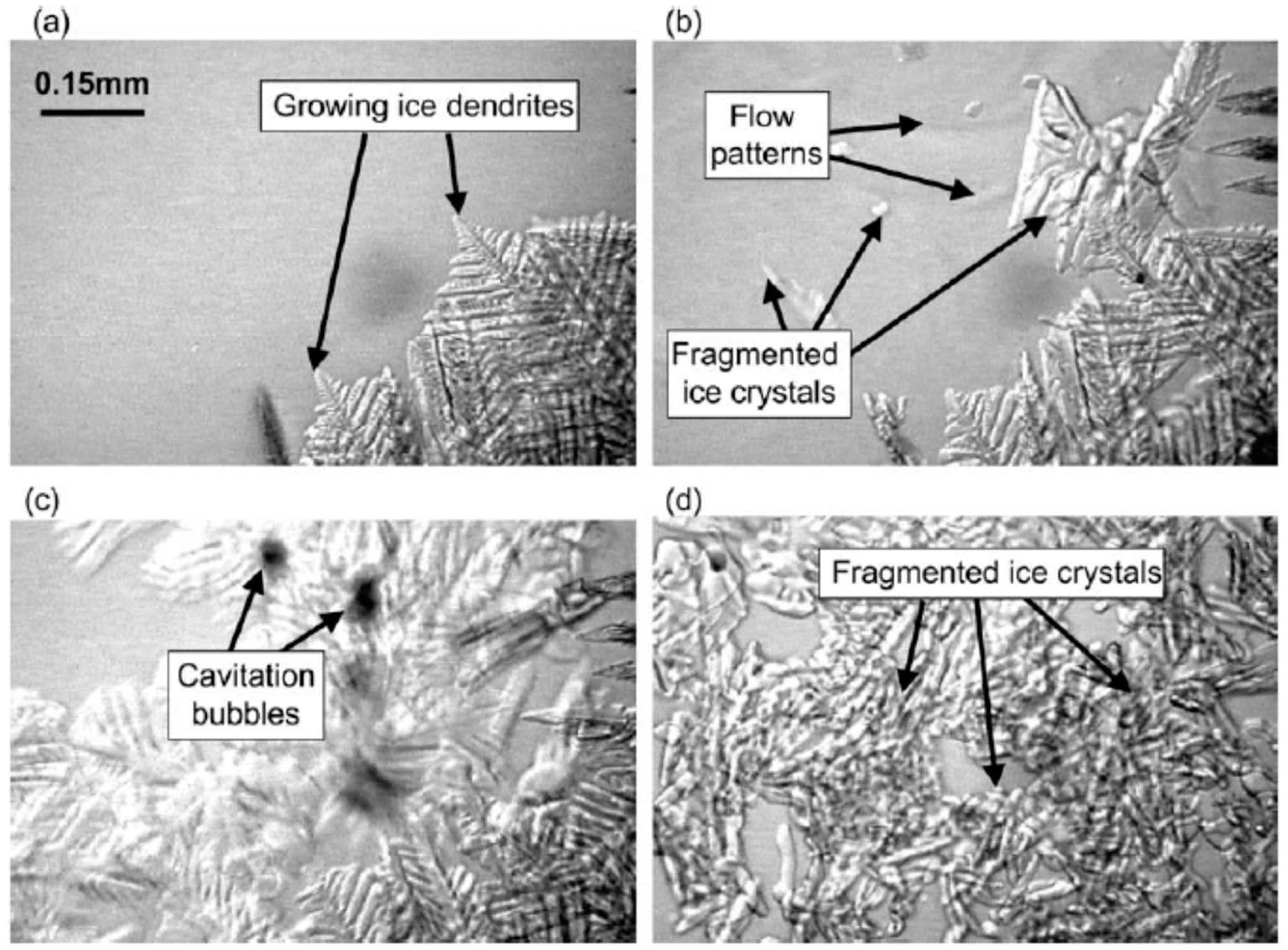 Crystals 08 00280 g007