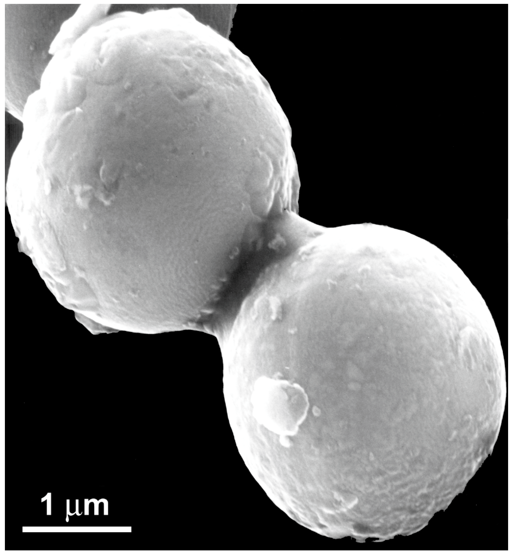 Crystals 08 00280 g015