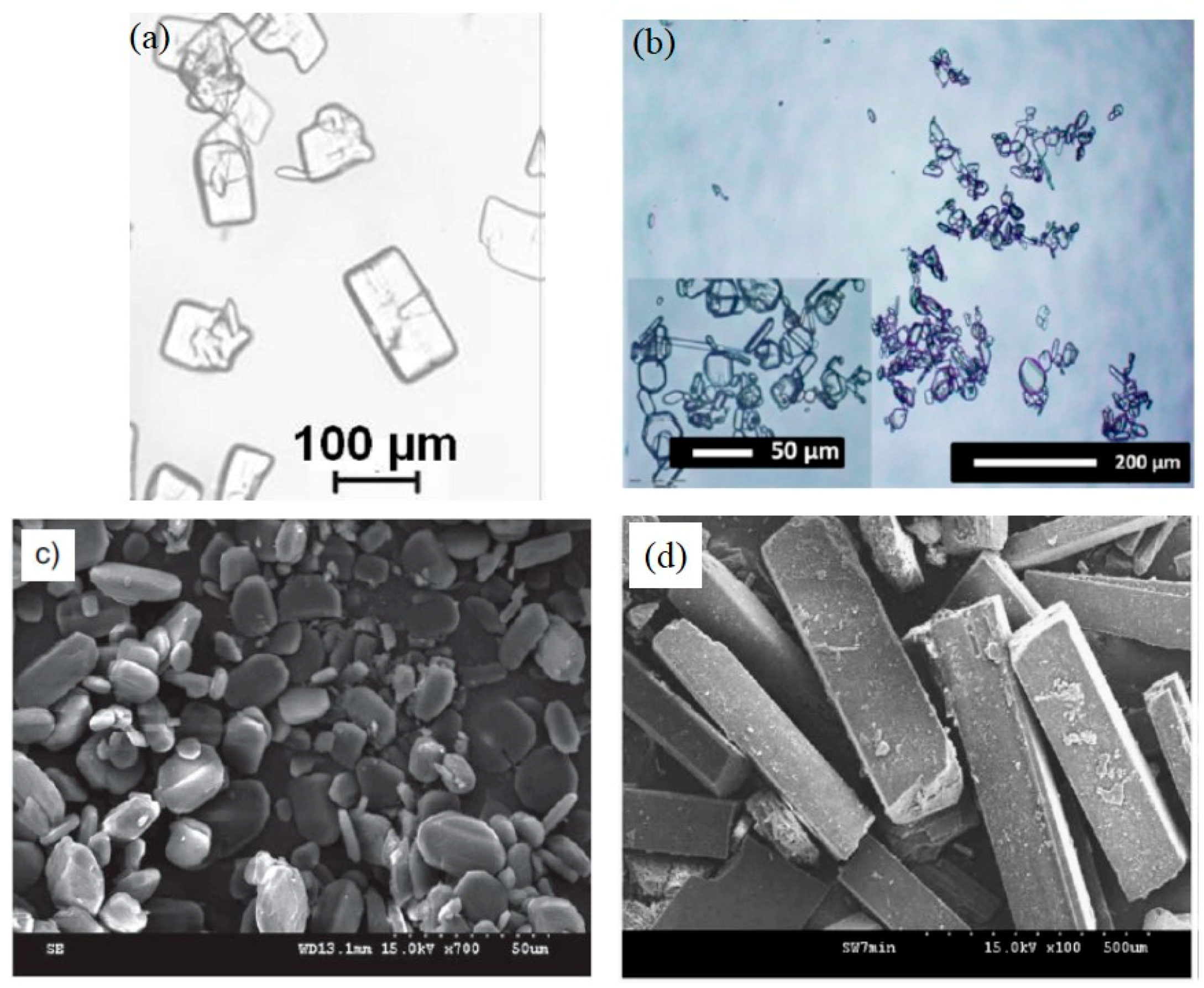 Crystals 08 00280 g019