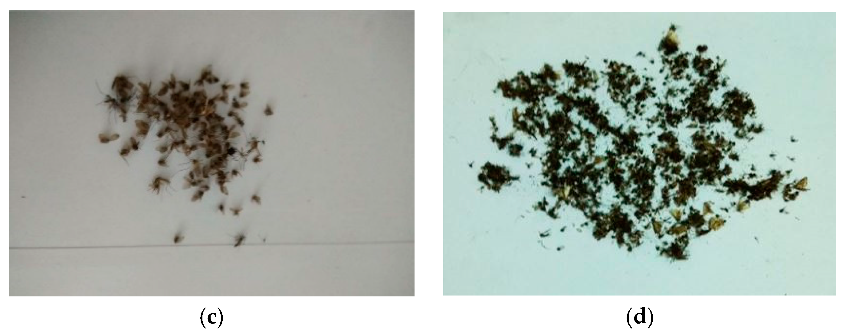 Crystals 08 00335 g009b