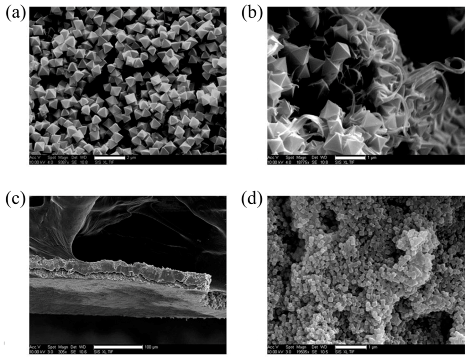 Crystals 08 00338 g010