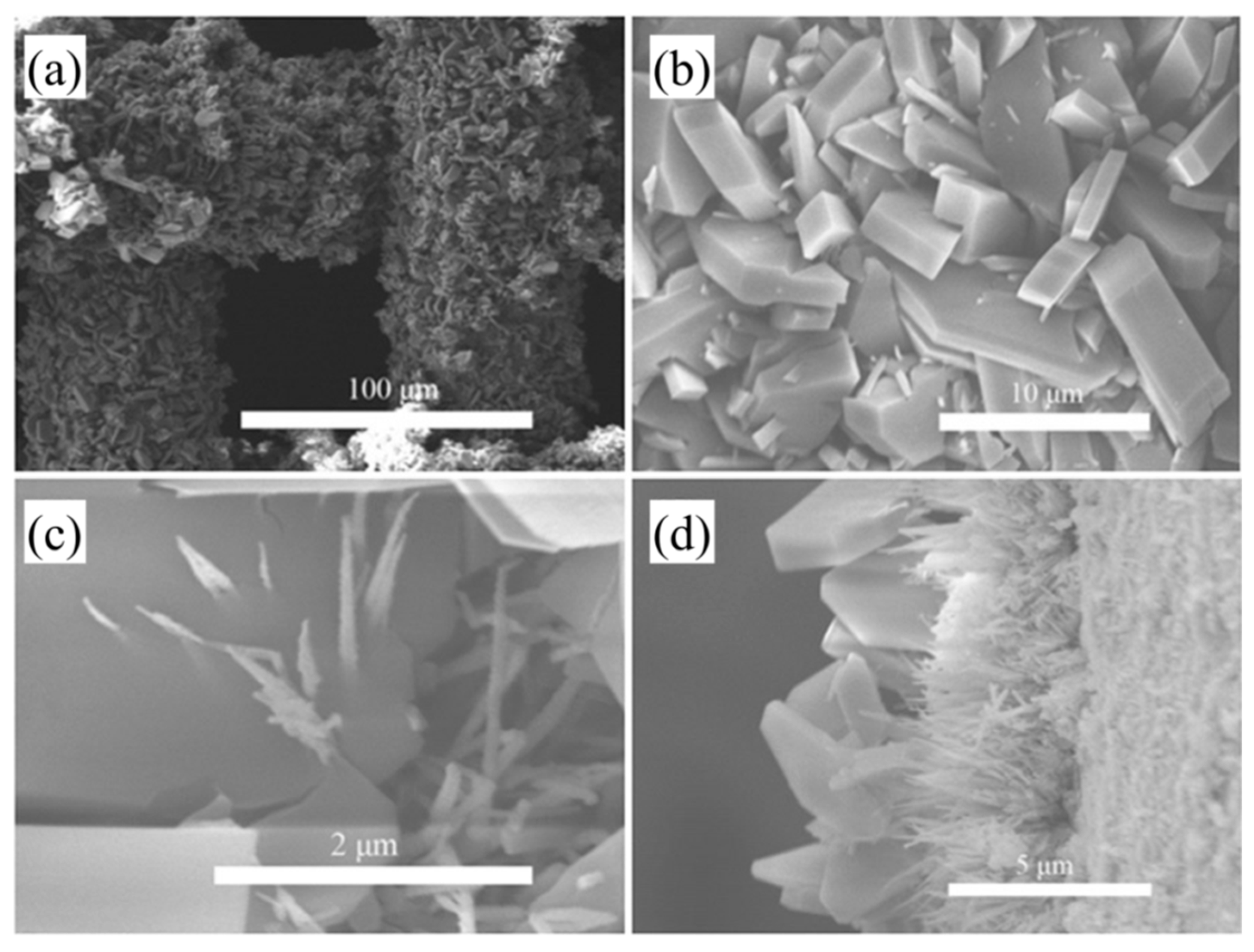 Crystals 08 00338 g024