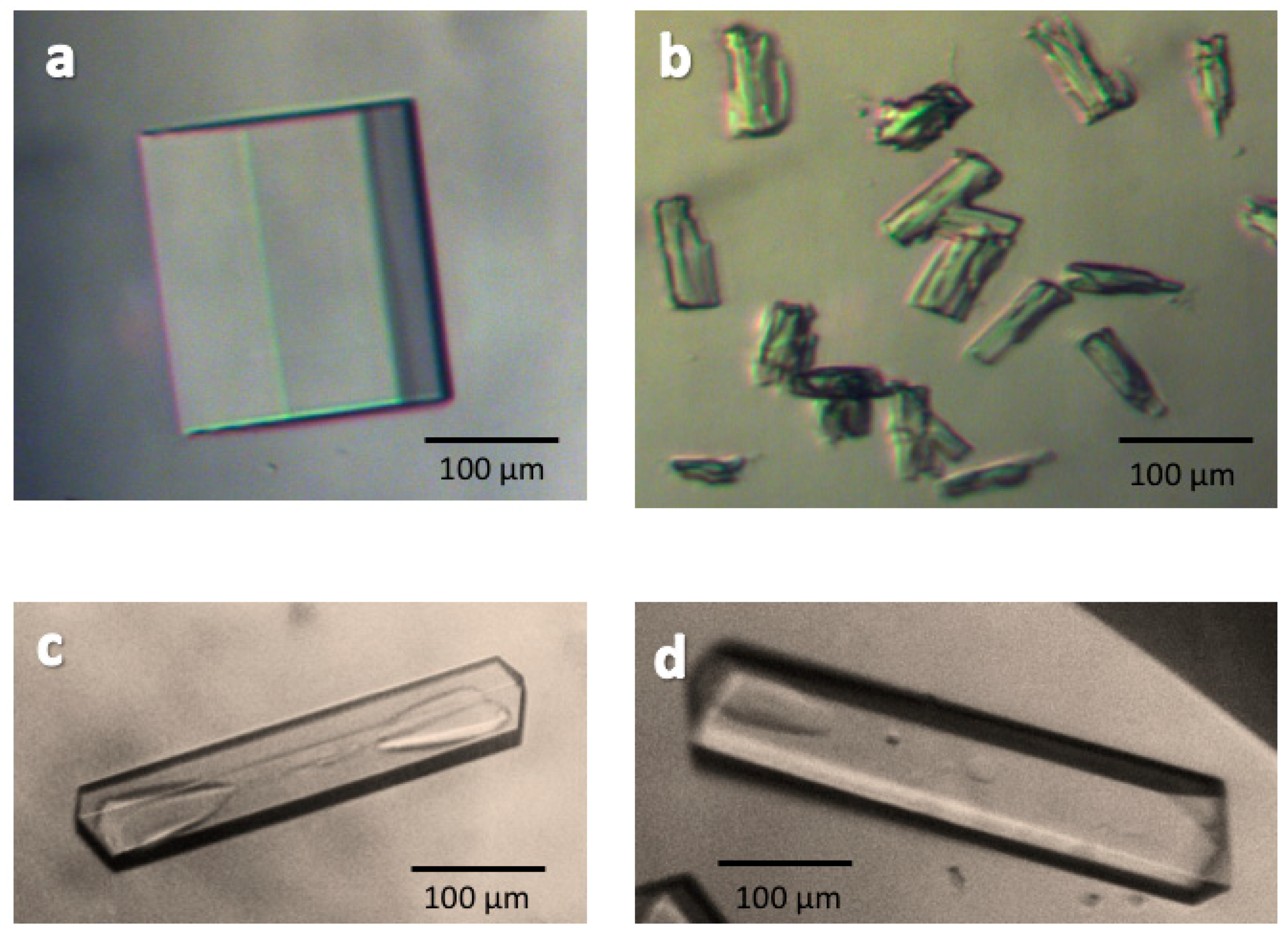 Crystals 08 00340 g005