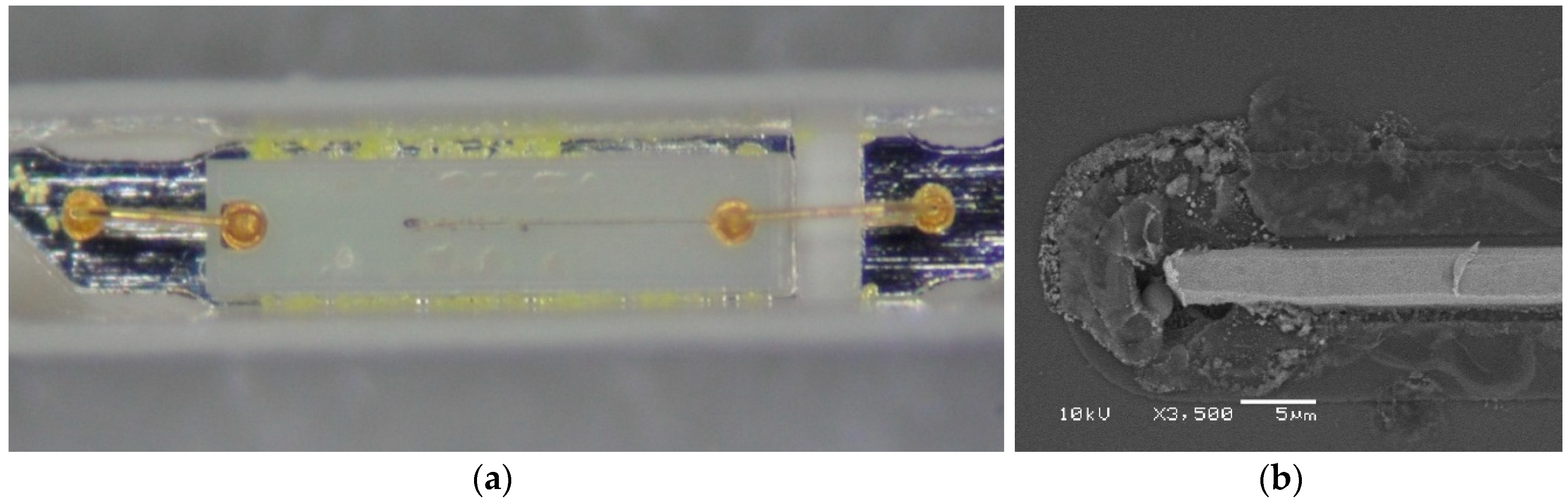 Crystals 08 00350 g001