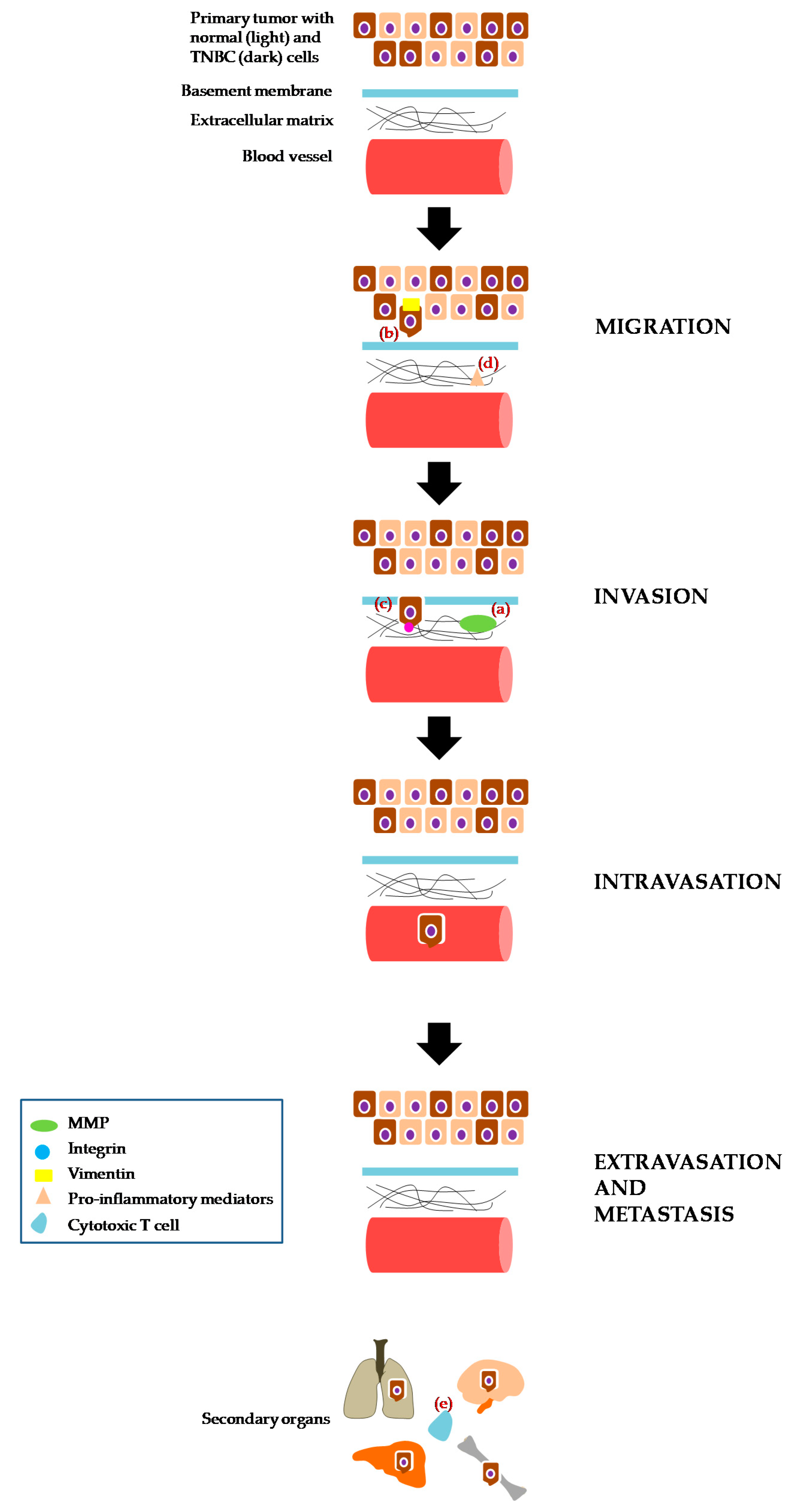 Crystals 08 00369 g001