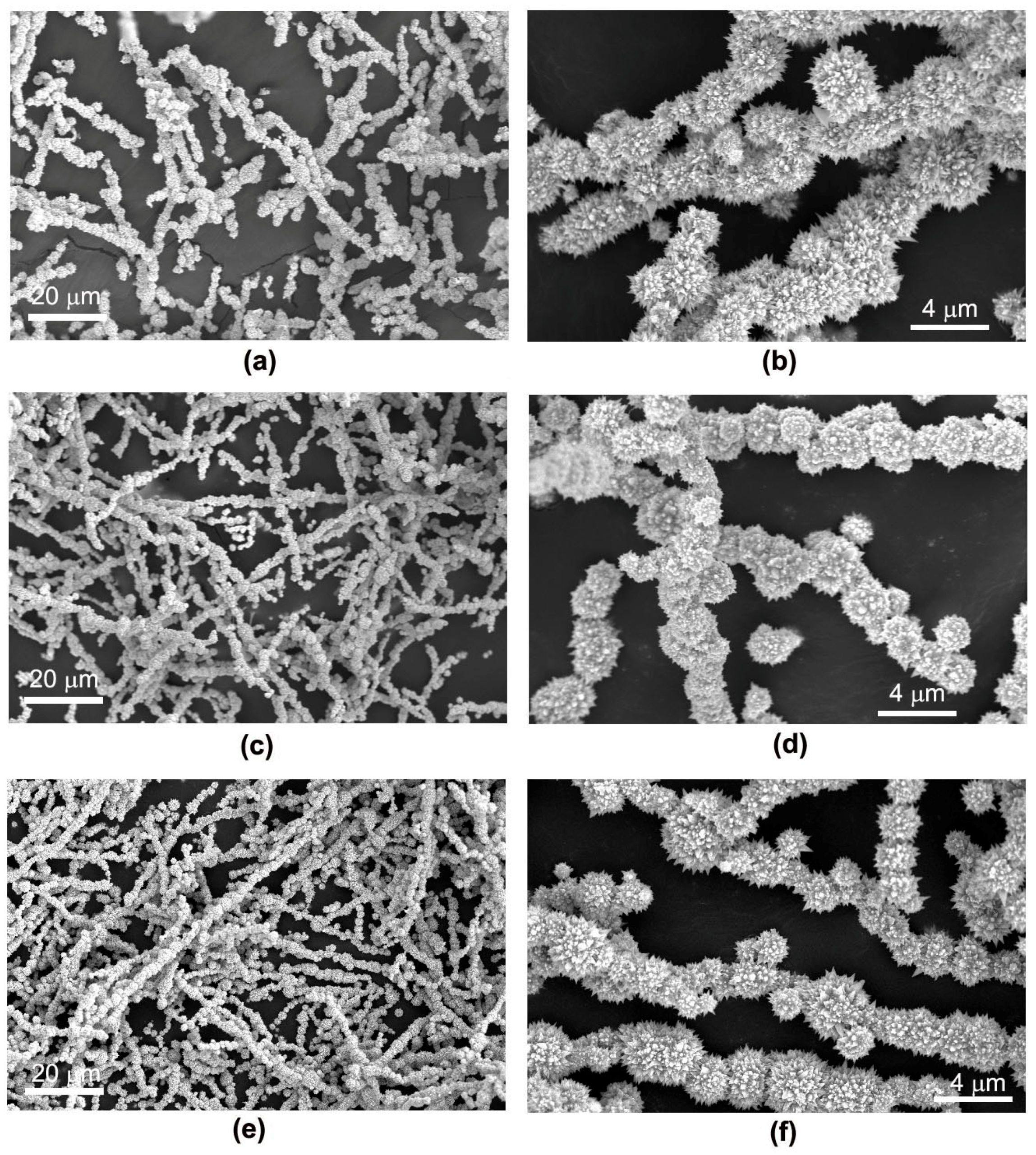 Crystals 08 00397 g007