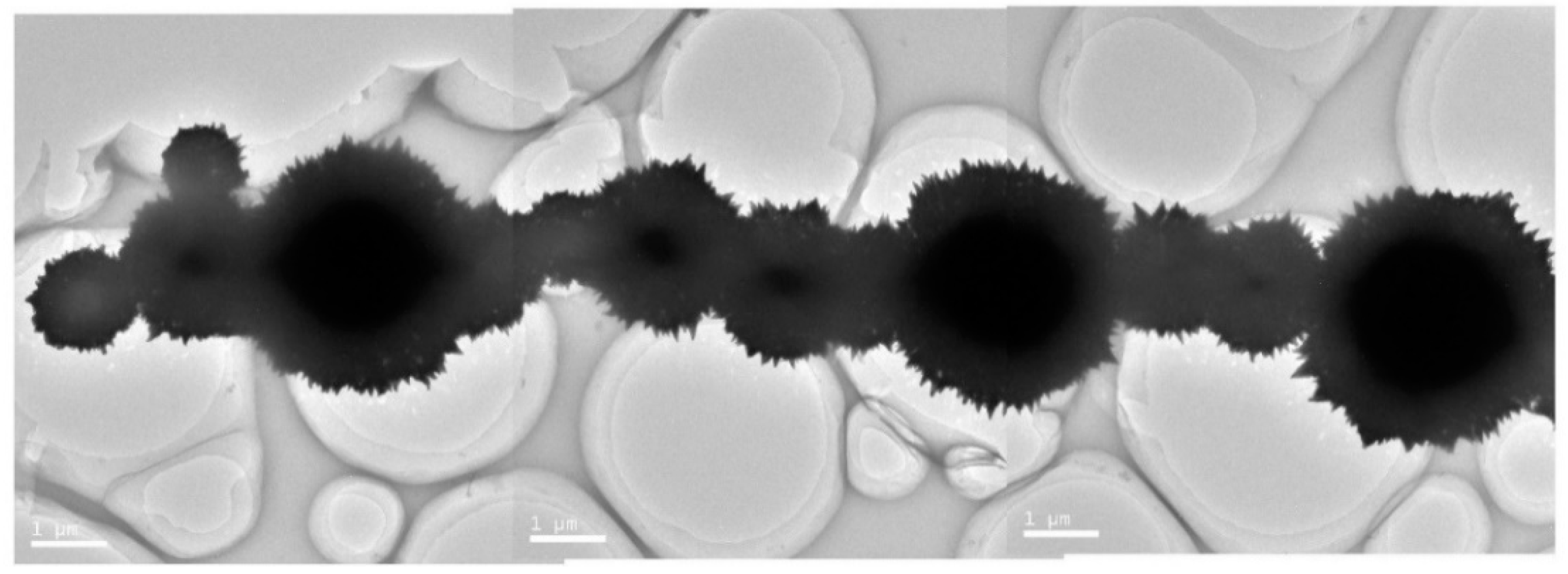 Crystals 08 00397 g008