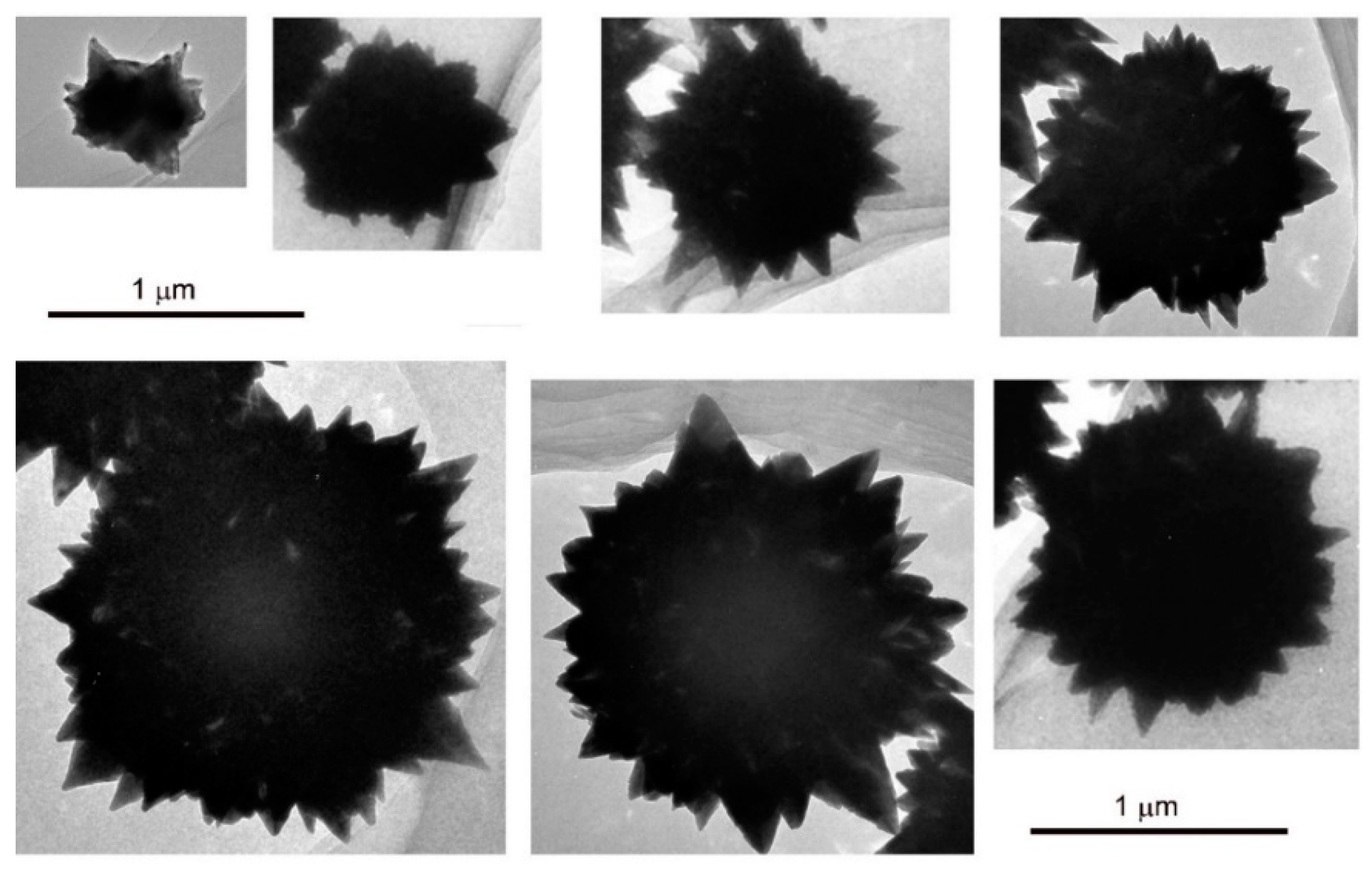 Crystals 08 00397 g010