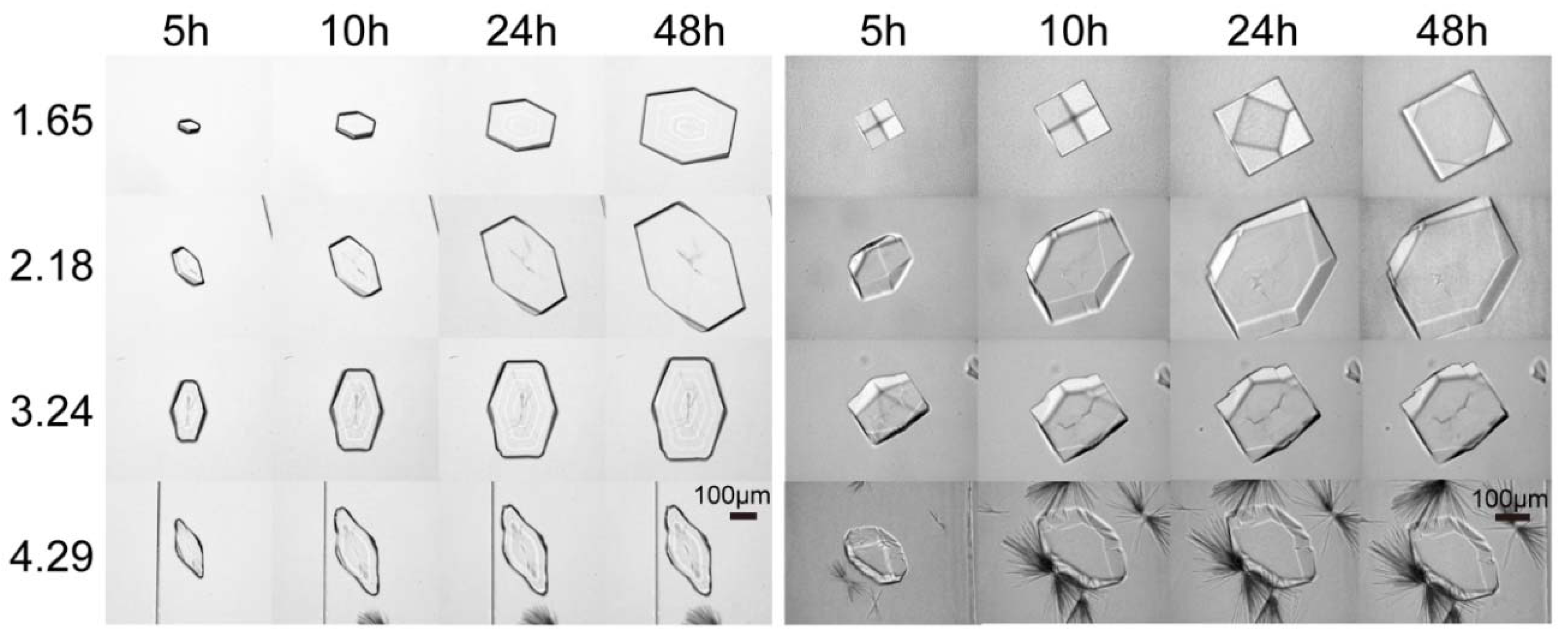 Crystals 08 00400 g004 Crystals 08 00400 g004