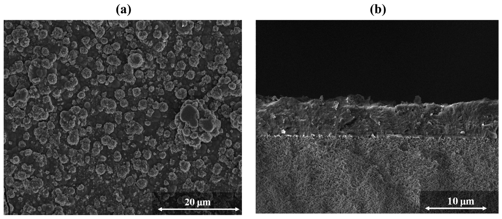 Crystals 08 00412 g018