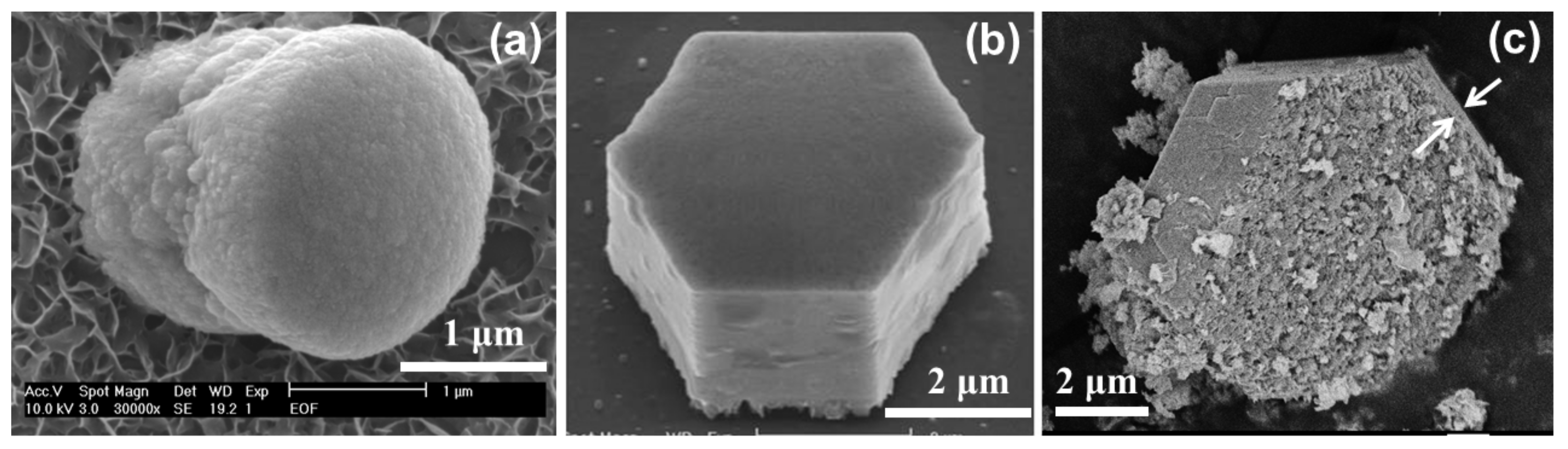 Crystals 09 00007 g003 Crystals 09 00007 g003