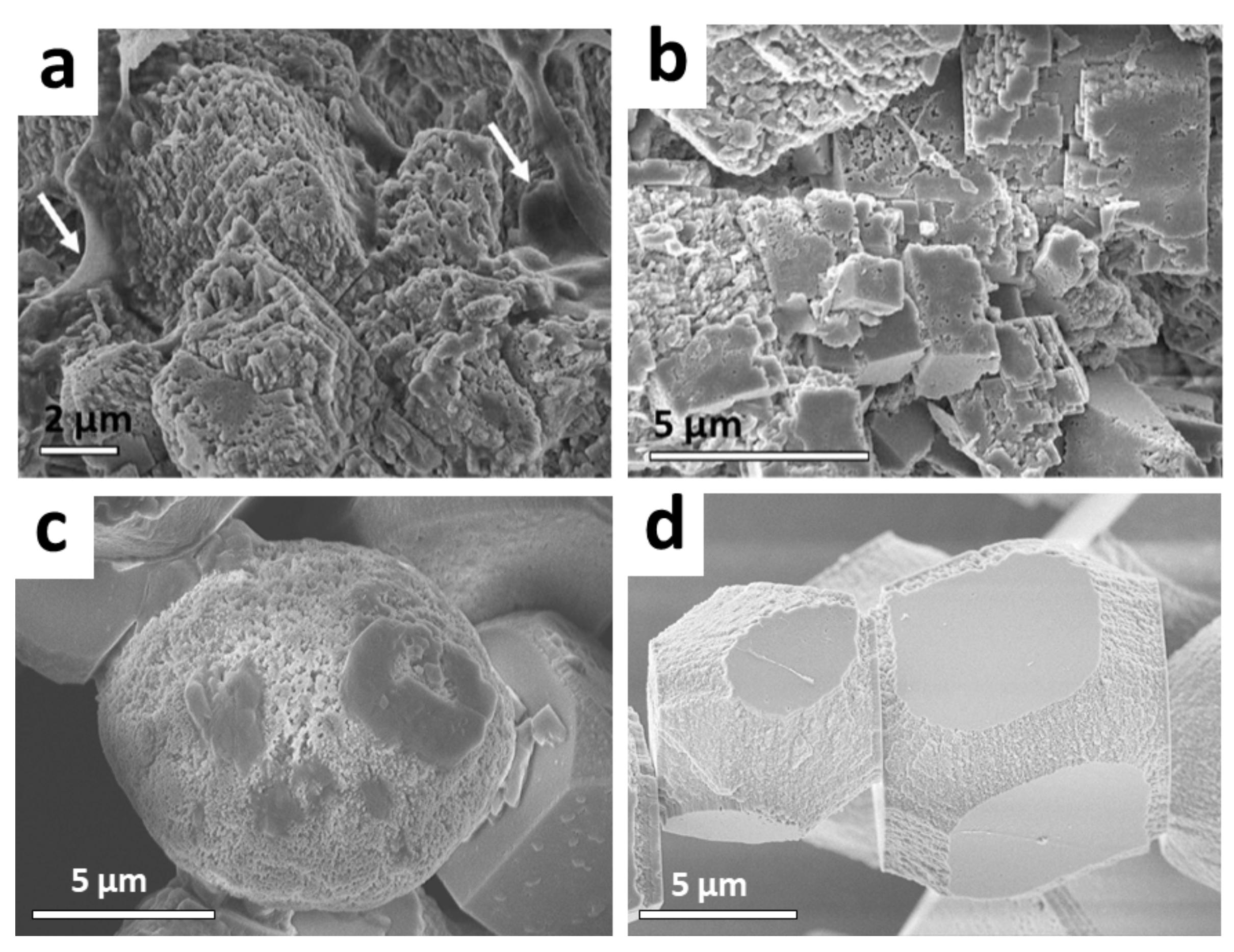 Crystals 09 00007 g005 Crystals 09 00007 g005