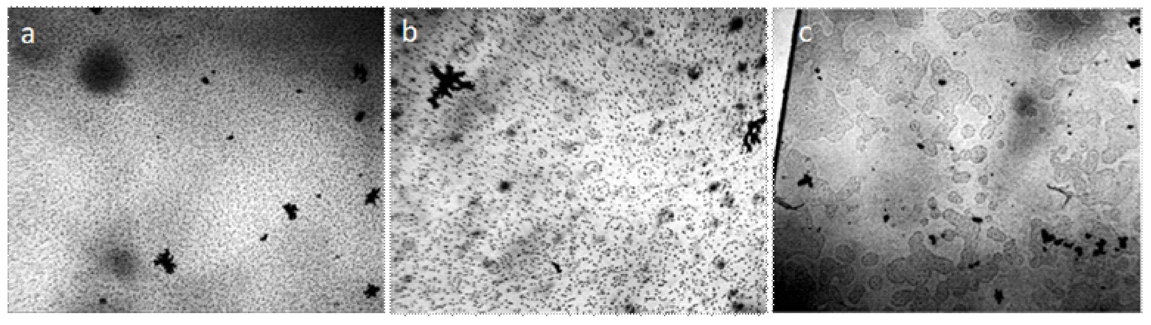 Crystals 09 00052 g001