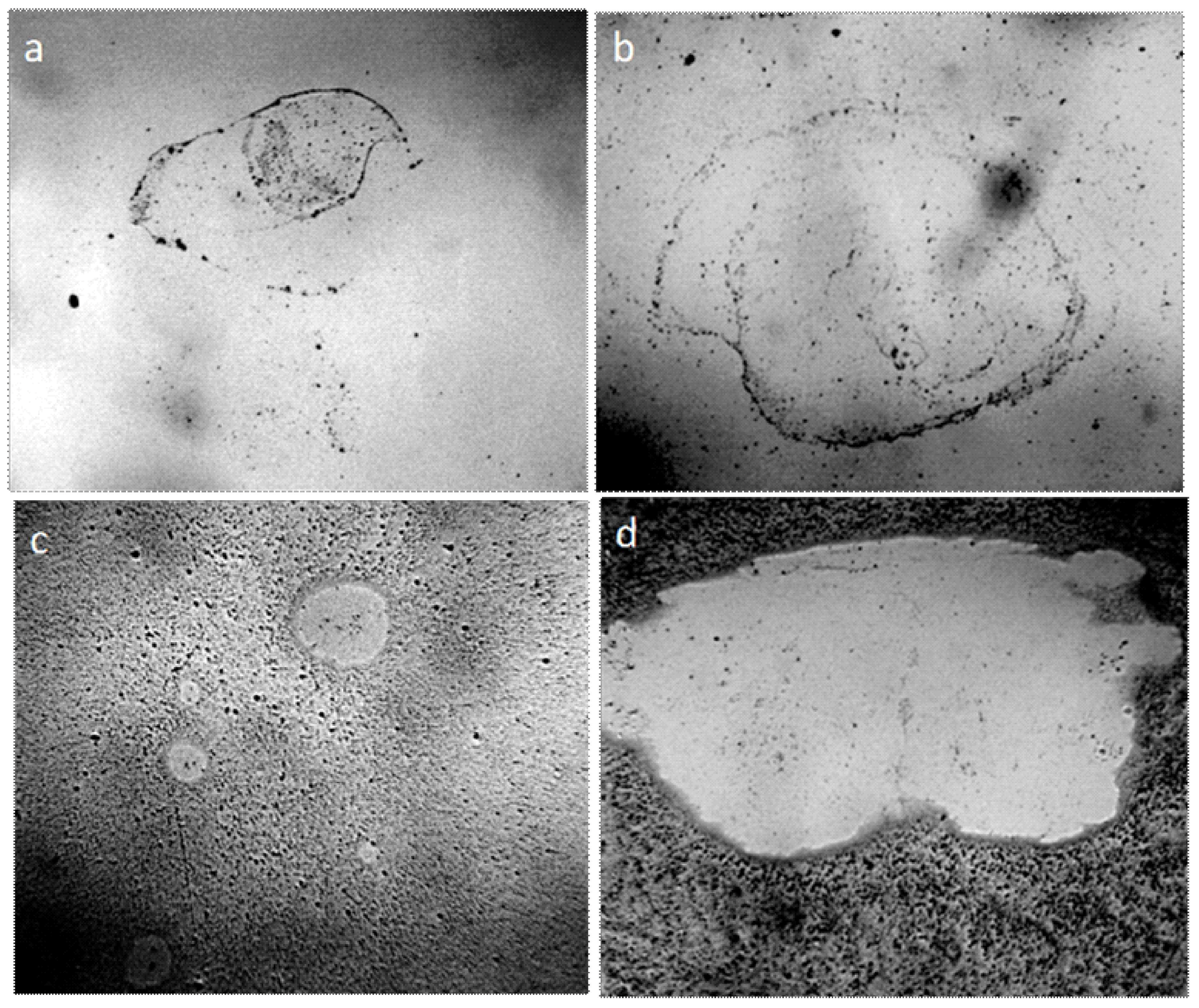 Crystals 09 00052 g002