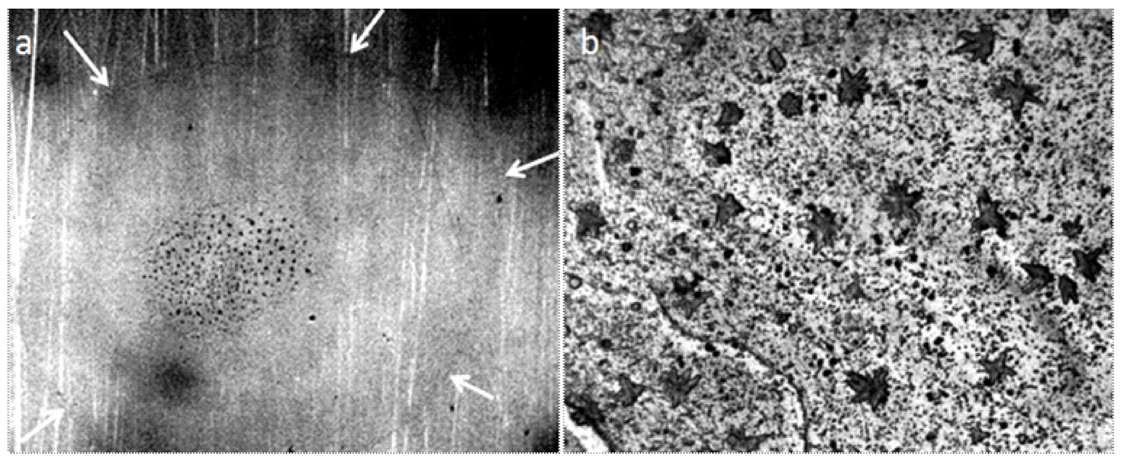 Crystals 09 00052 g005