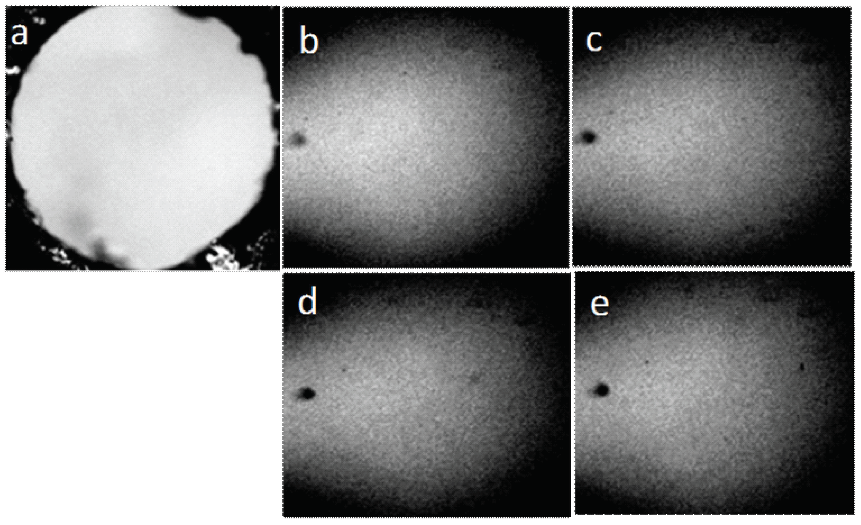 Crystals 09 00052 g012