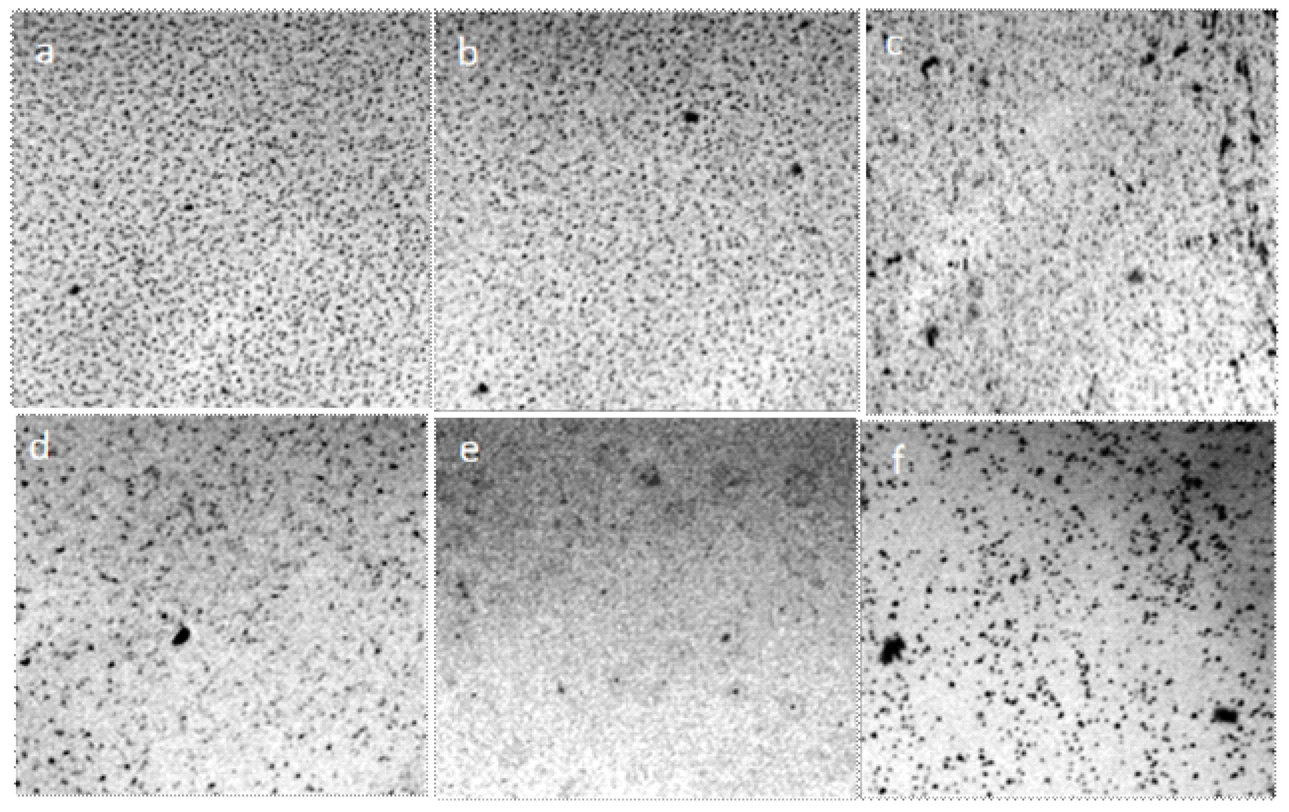 Crystals 09 00052 g015