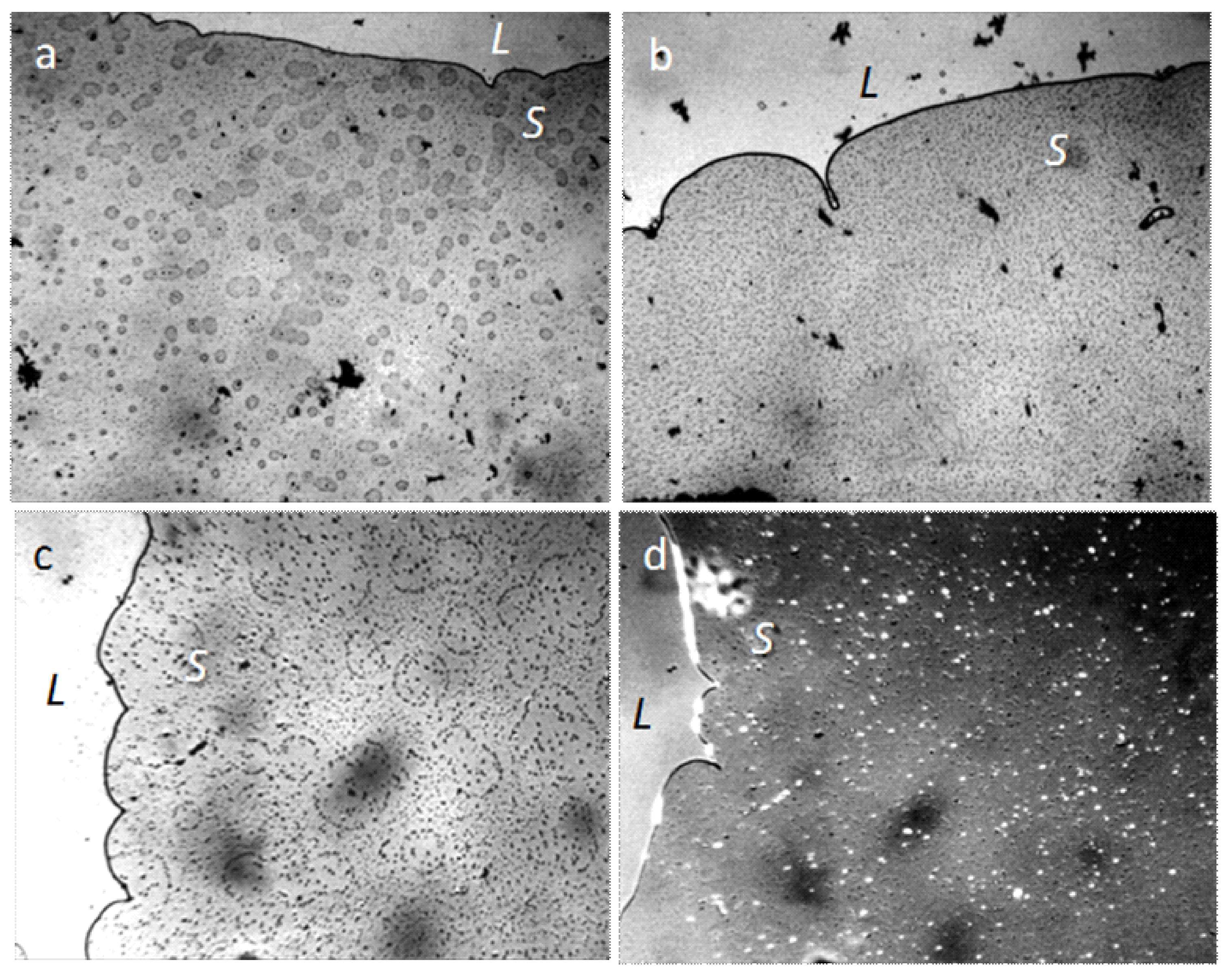 Crystals 09 00052 g017