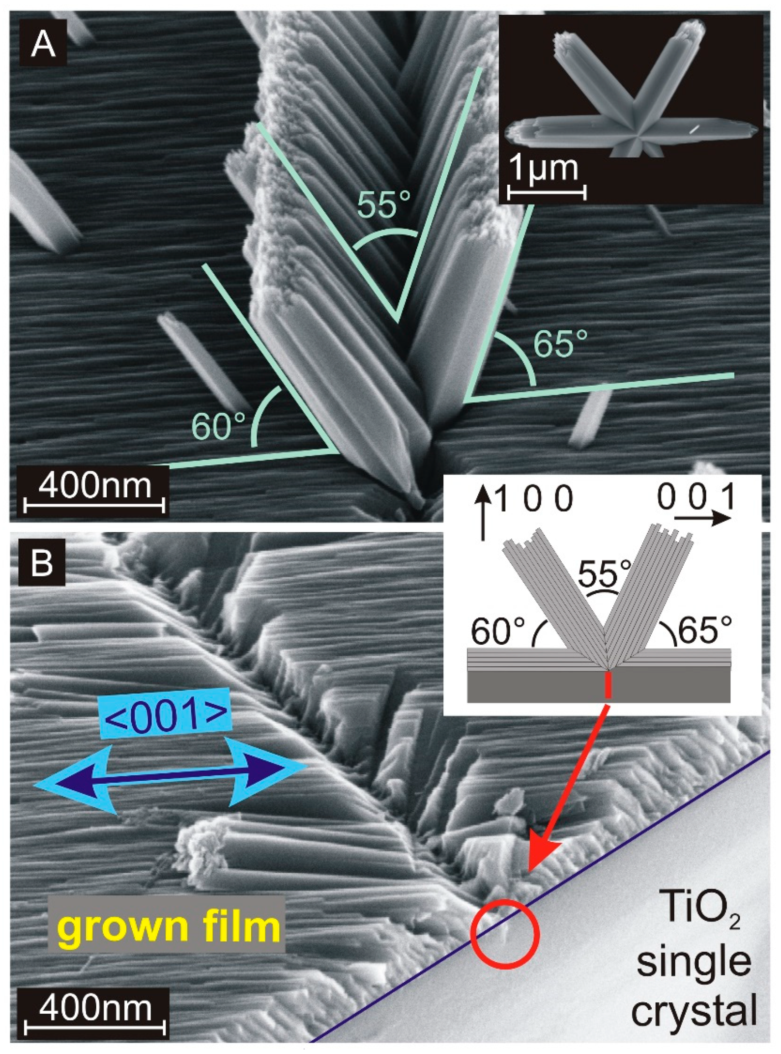 Crystals 09 00064 g002