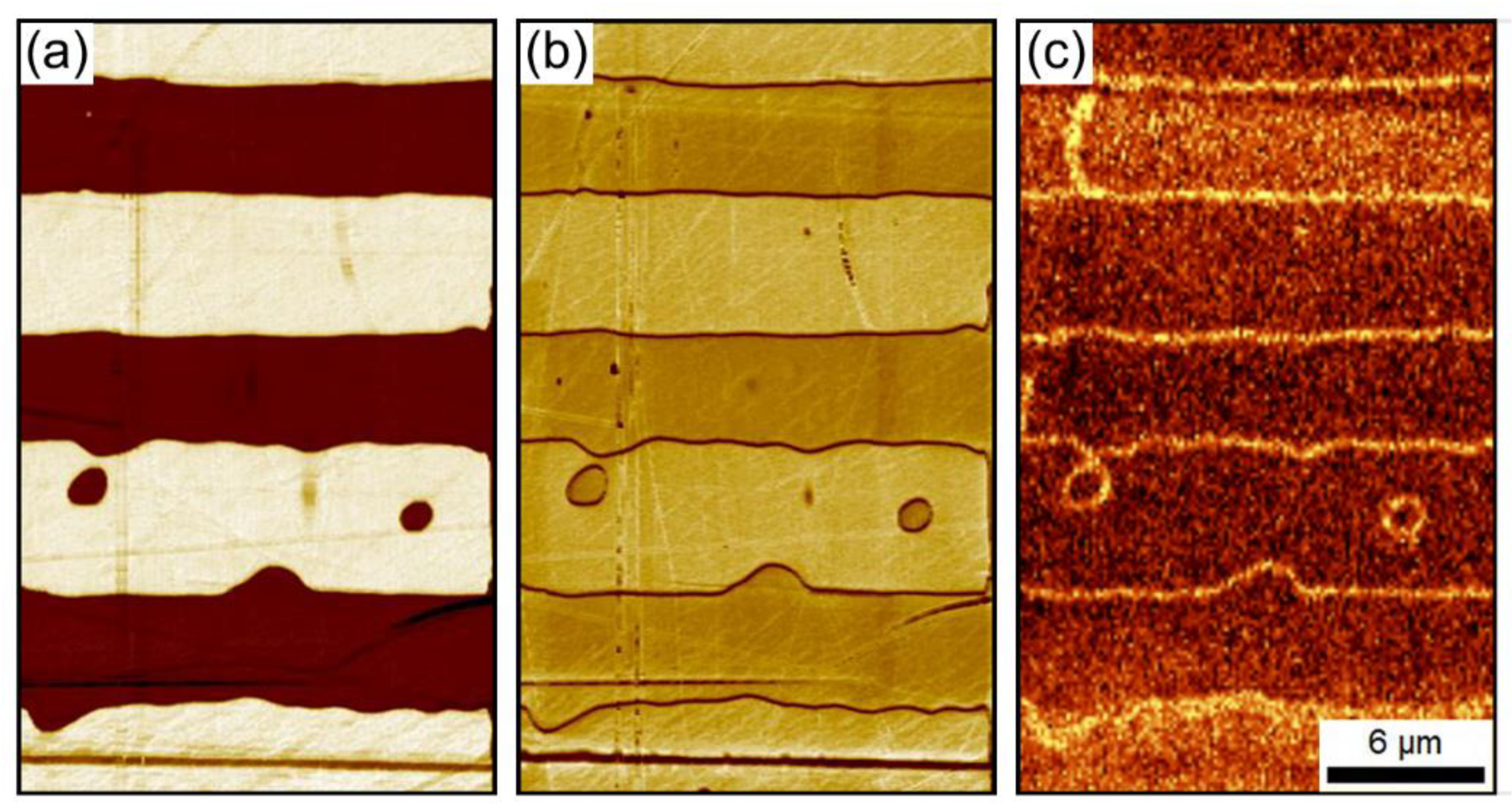 Crystals 09 00065 g002