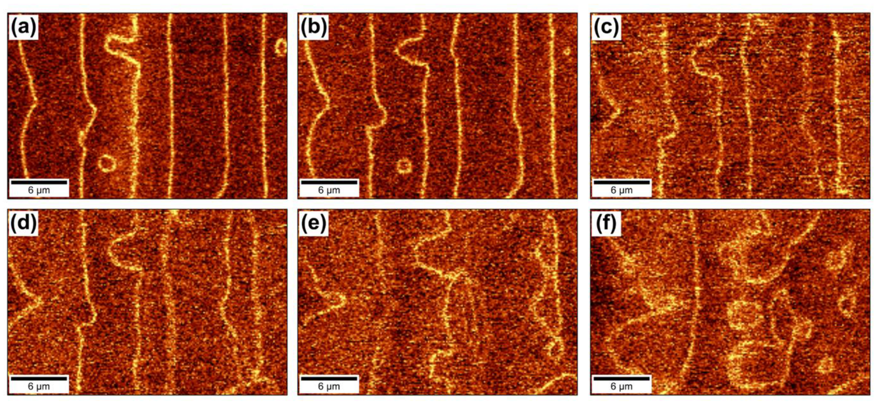 Crystals 09 00065 g004